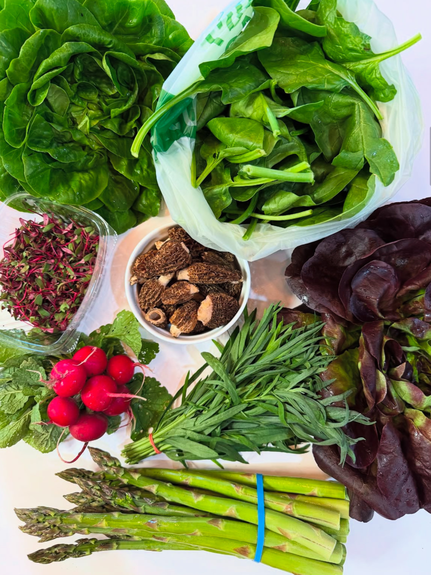 2026 Spring Segment - Biweekly Upfront Payment