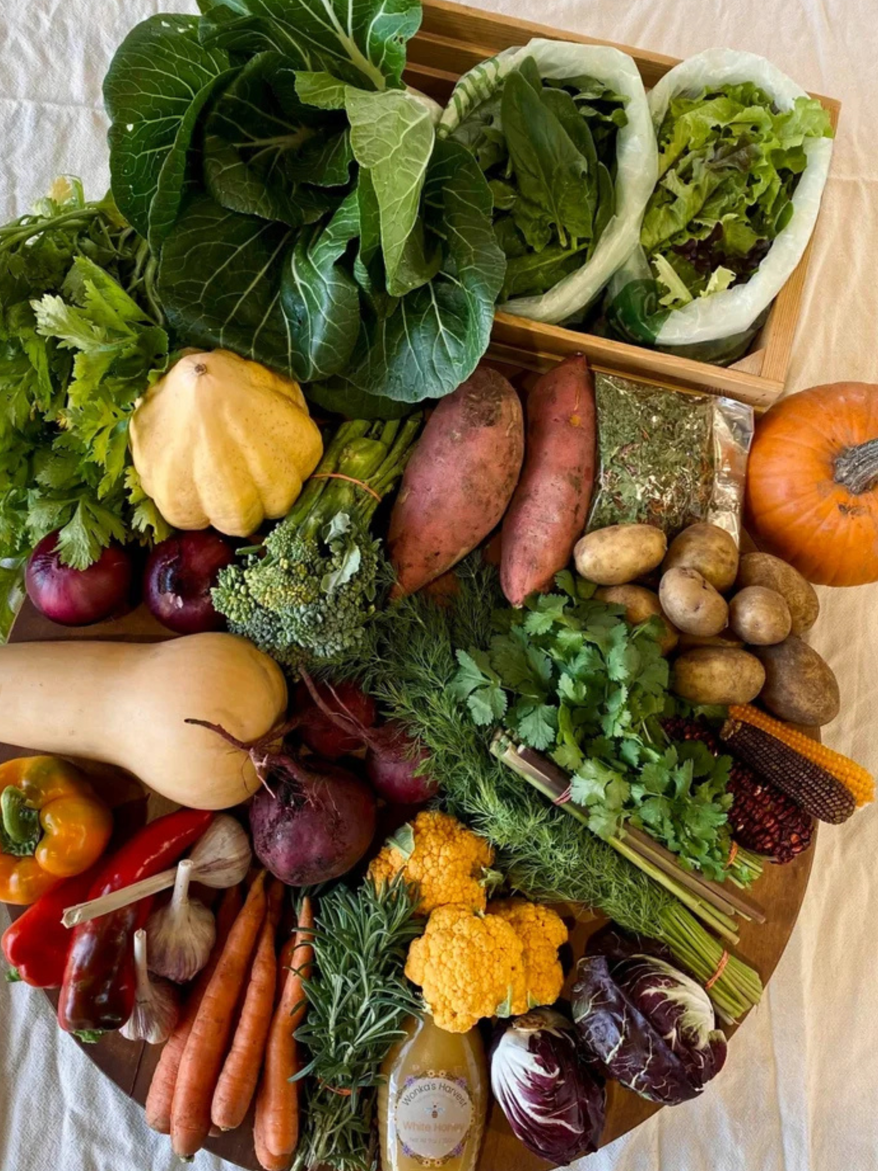 2026 Late Fall Segment - Upfront Weekly Payment