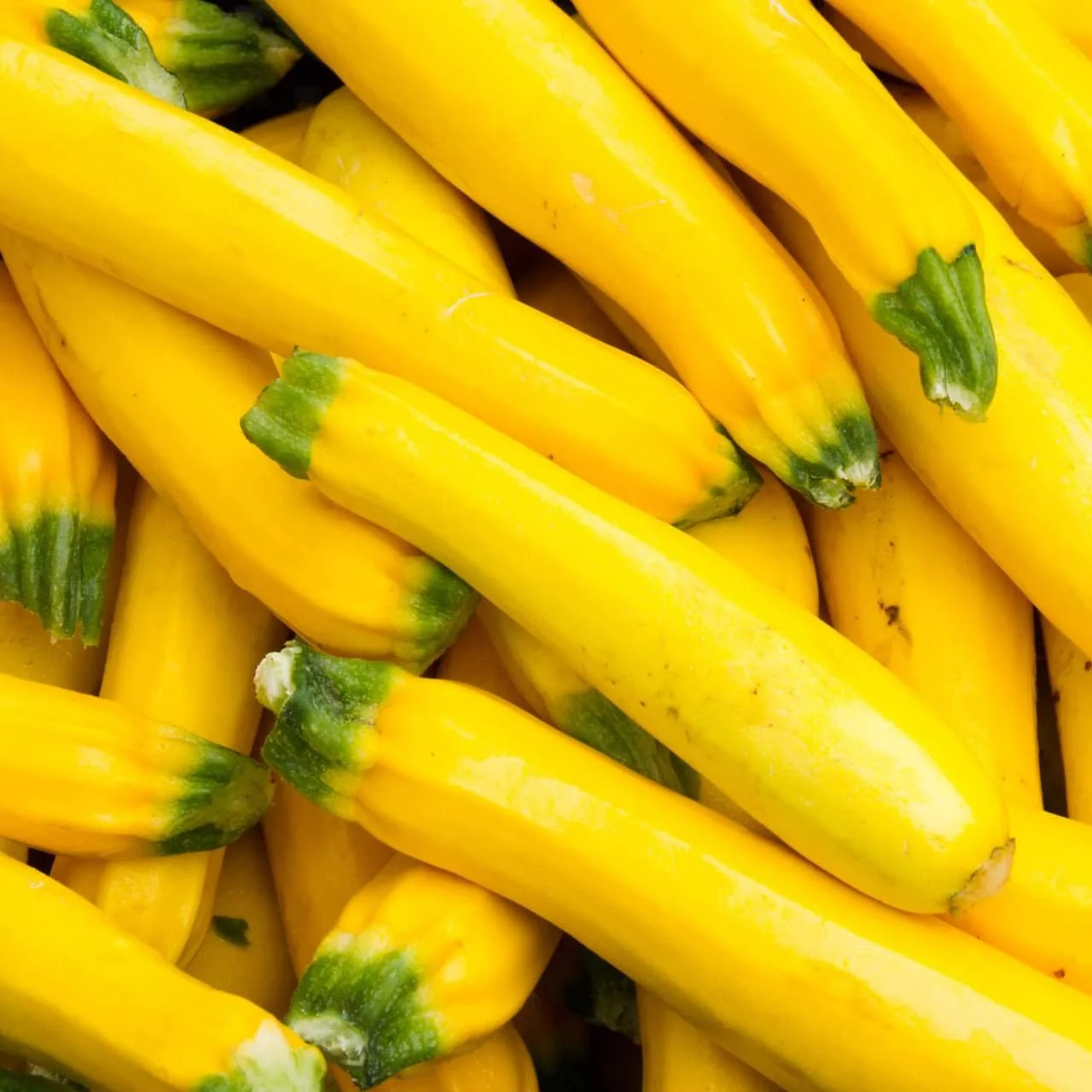 yellow-squash.jpg