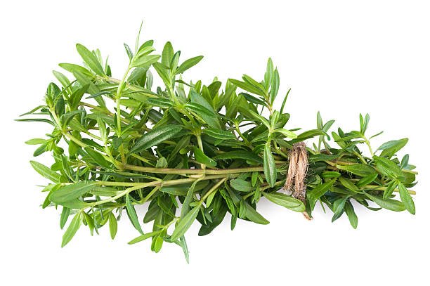 Summer Savory Bunch