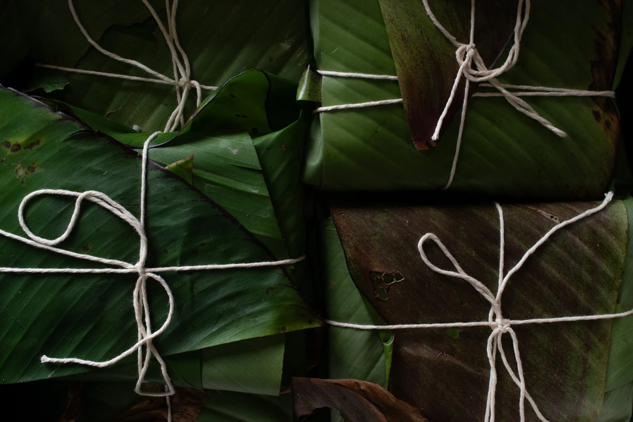 Tempeh wrapped in banana leaves