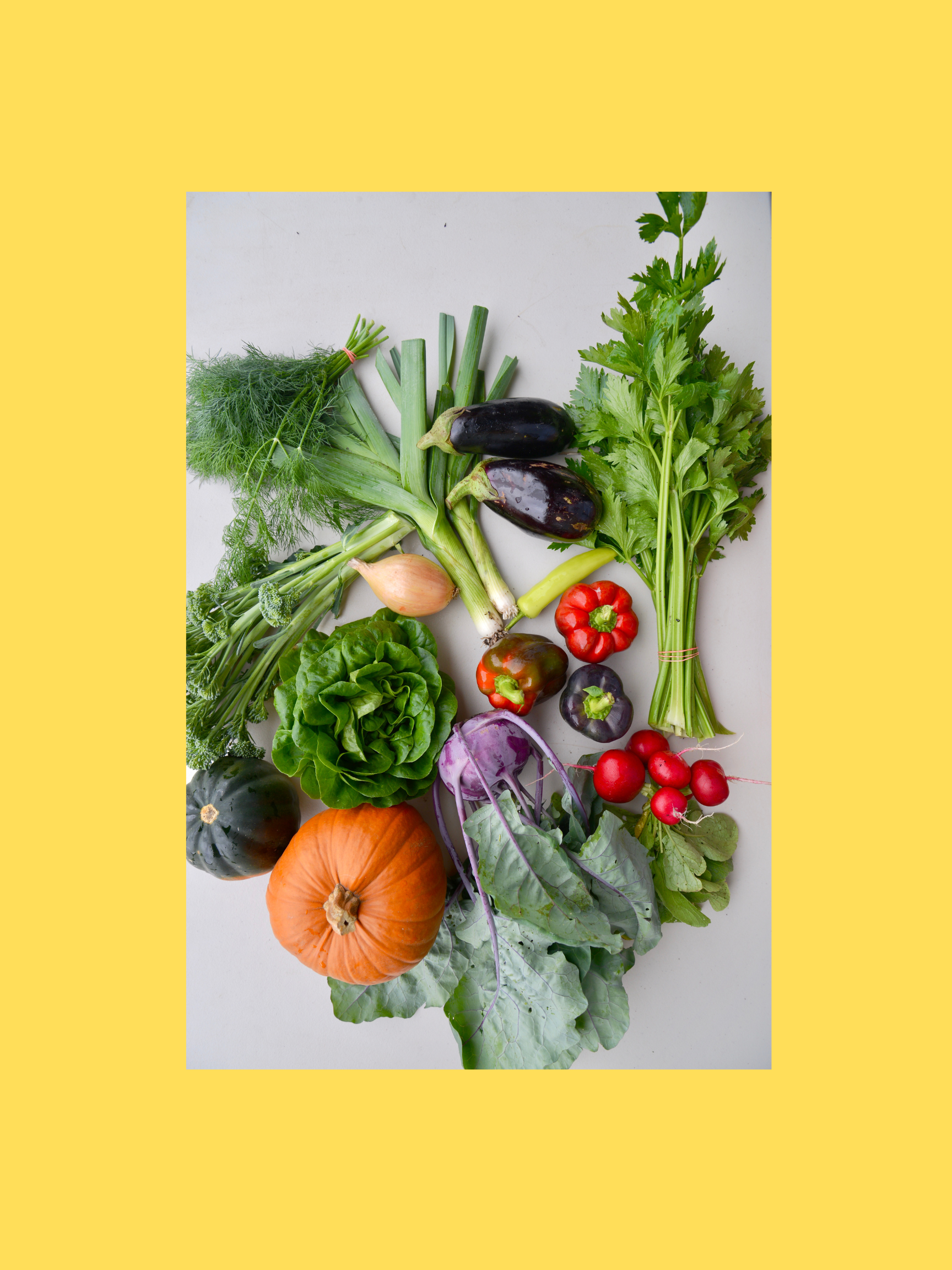 2026 Fall Segment - Weekly Payment Plan