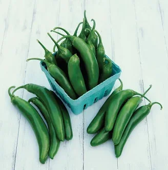 Serrano