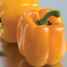 Sweet Sunrise Pepper Start