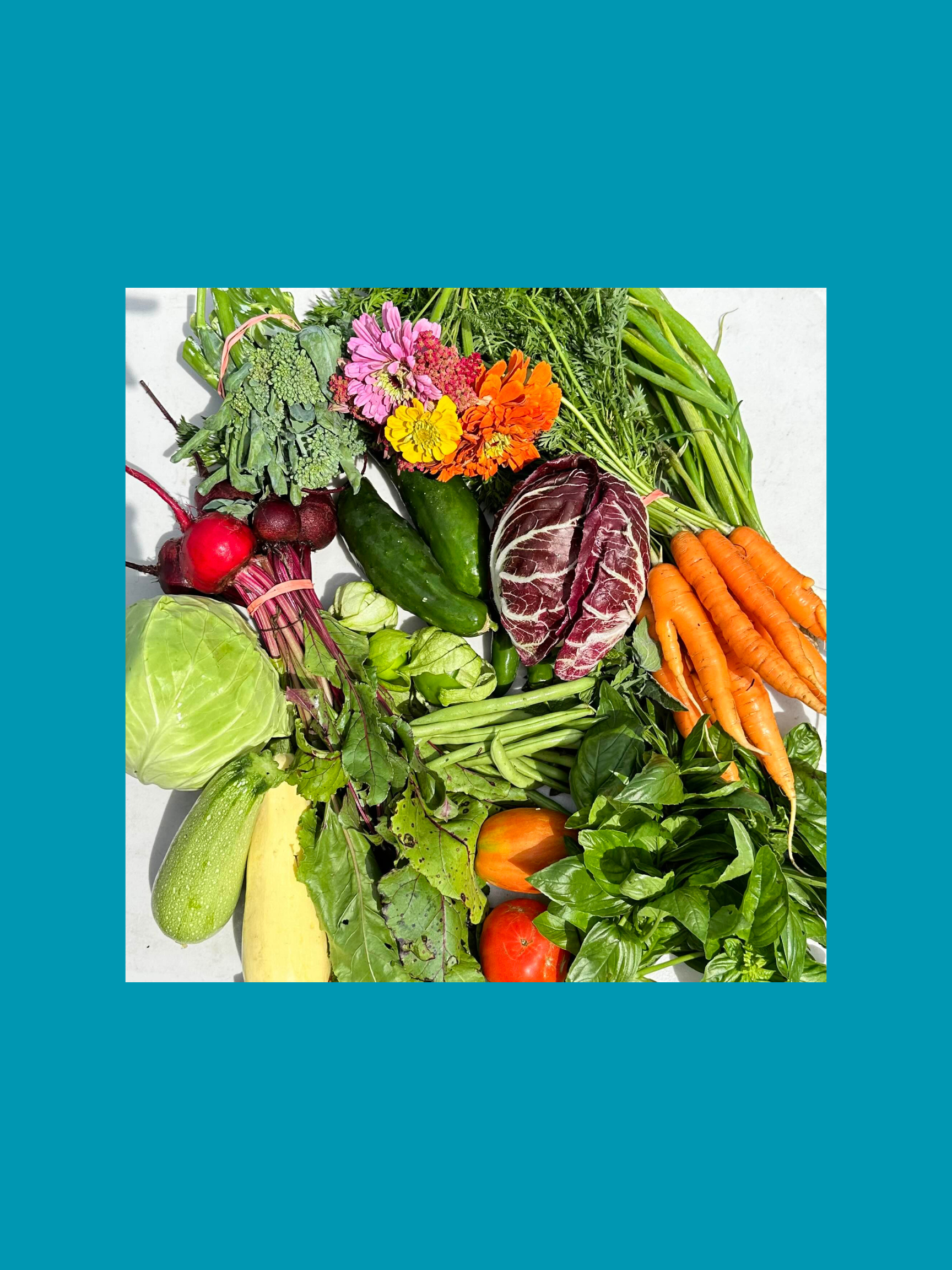 2026 Full Season - Upfront Payment