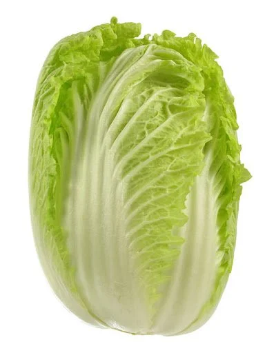 Napa Cabbage