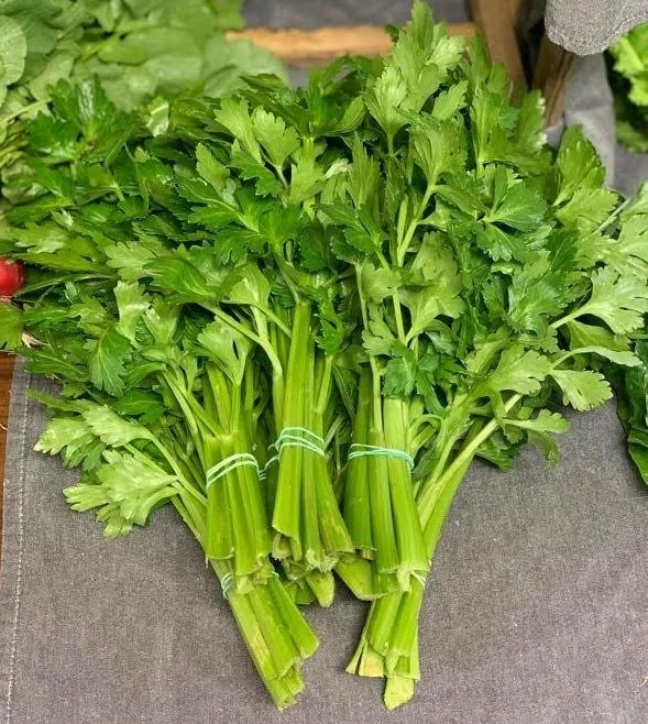 Celery Bunch