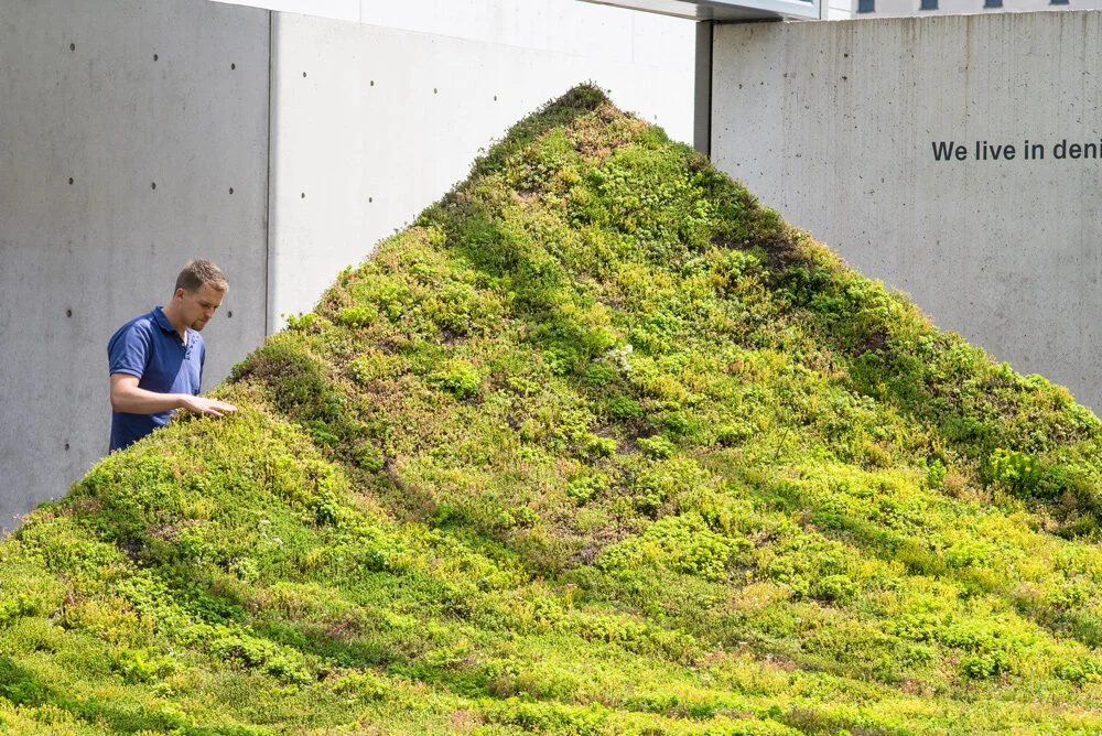 Green Varnish: Art Fabrication Case Study