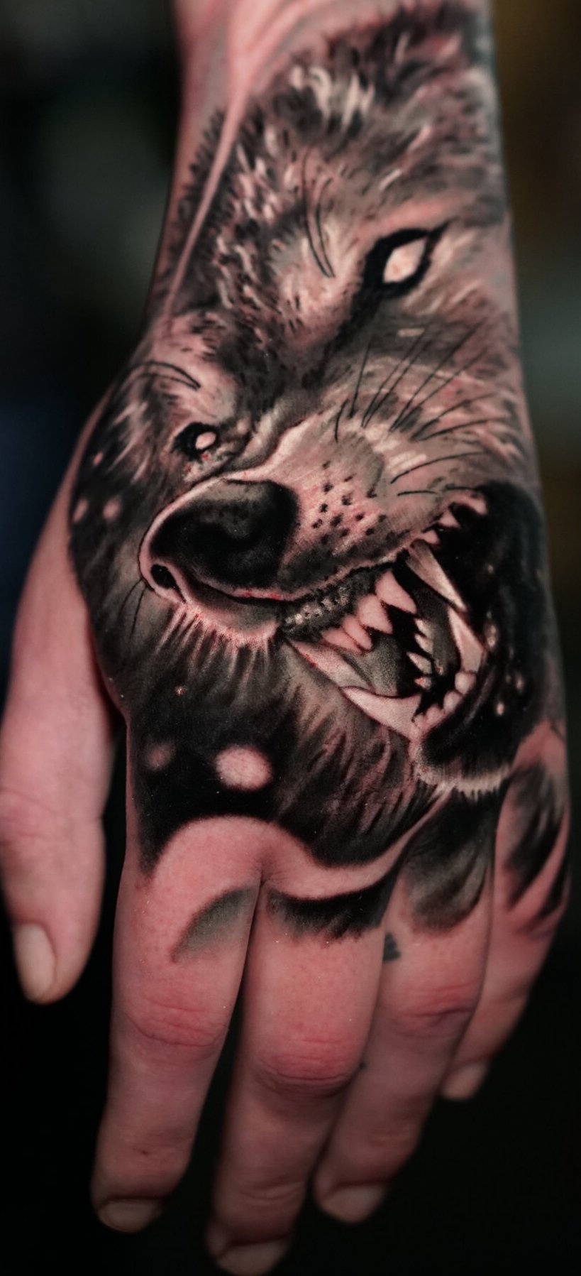 wolf.jpg