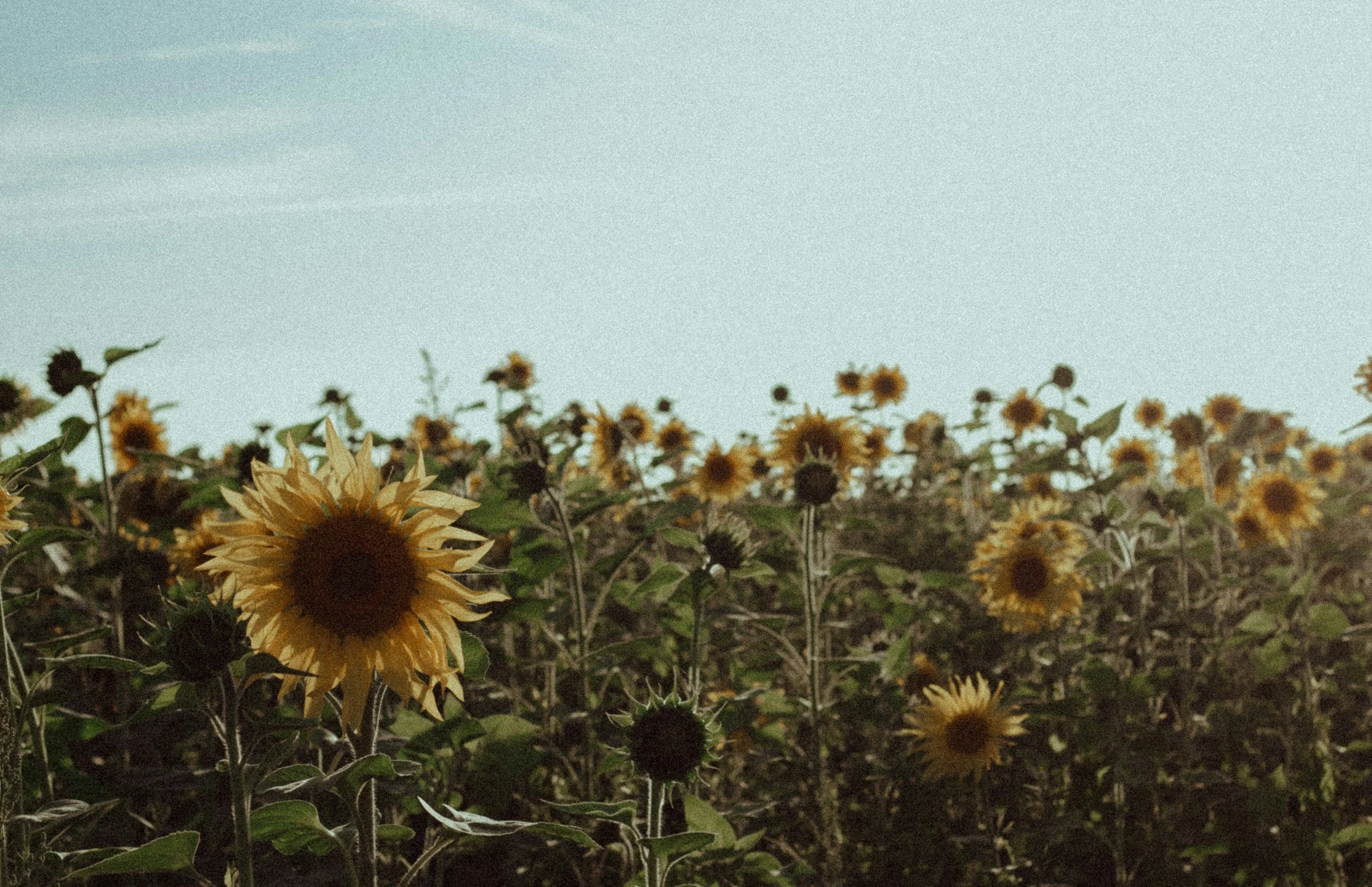 Reclaiming Your Time: Strategies for Reducing Screen Use