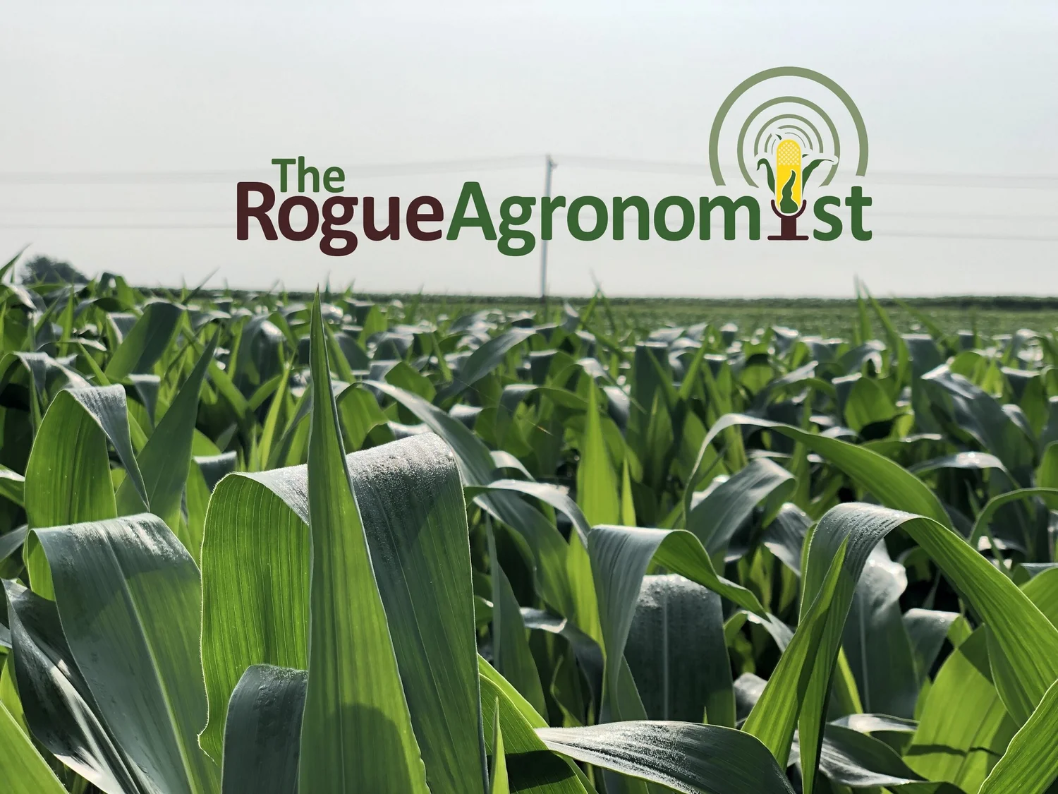 Agronomy Sales Math is Hard episode artwork