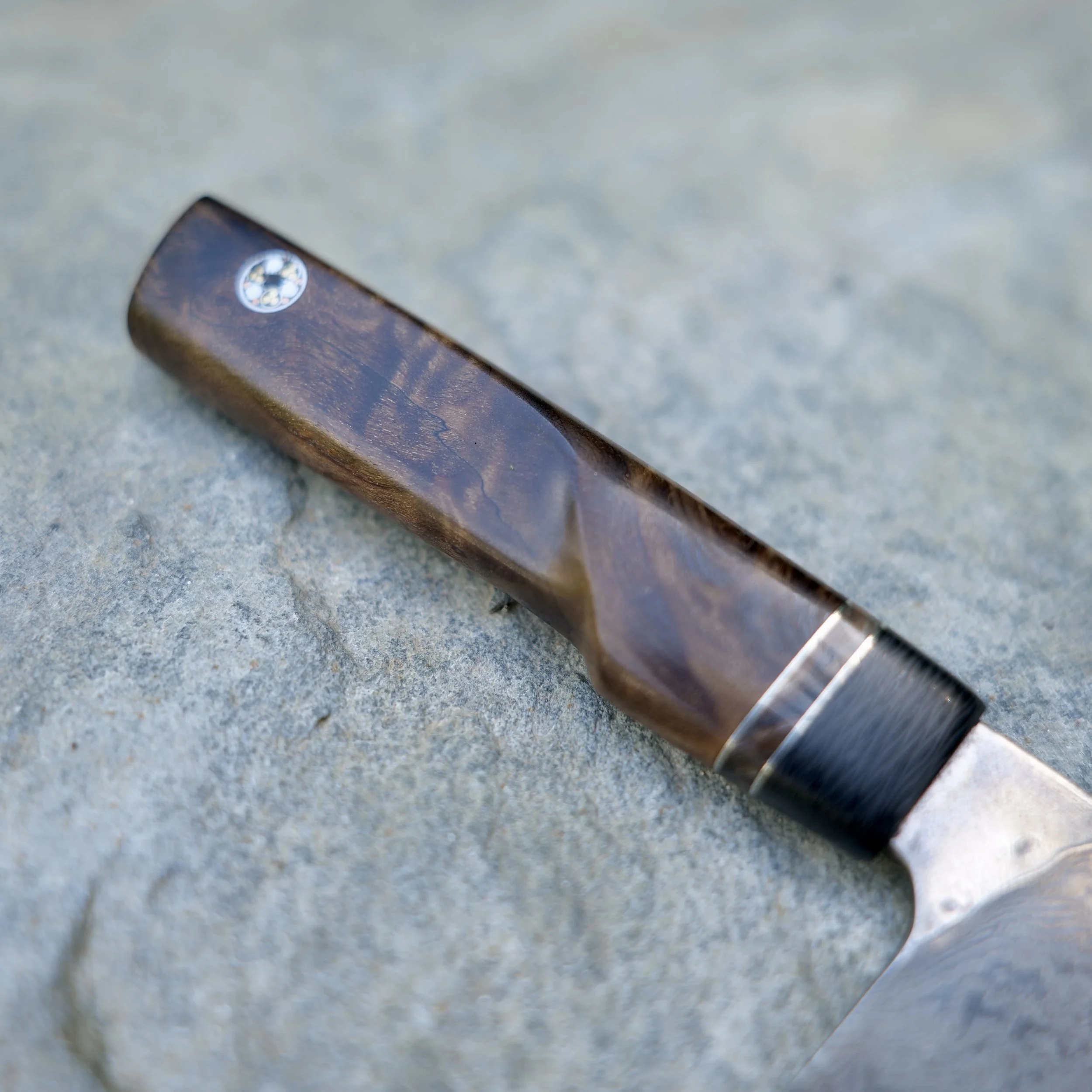 P1154955.JPG