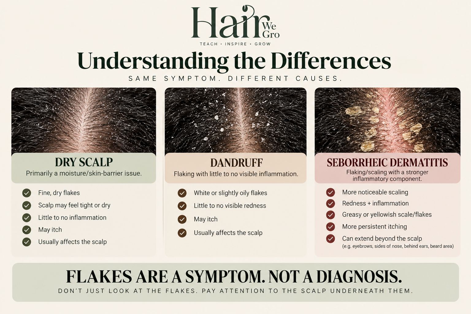 Dandruff vs Seborrheic Dermatitis: What's the Difference?
