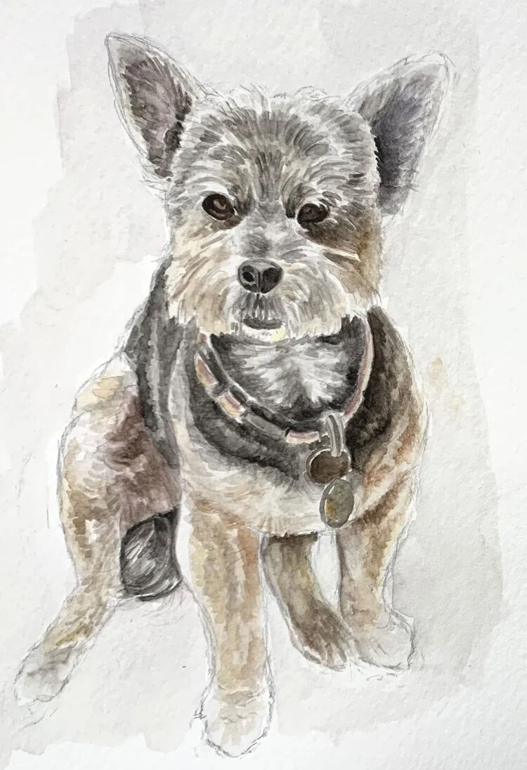 Watercolor spot of my dog
