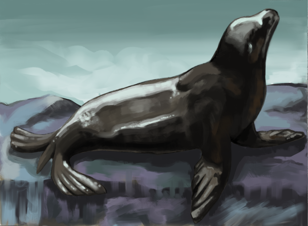 Painting in Procreate of a seal