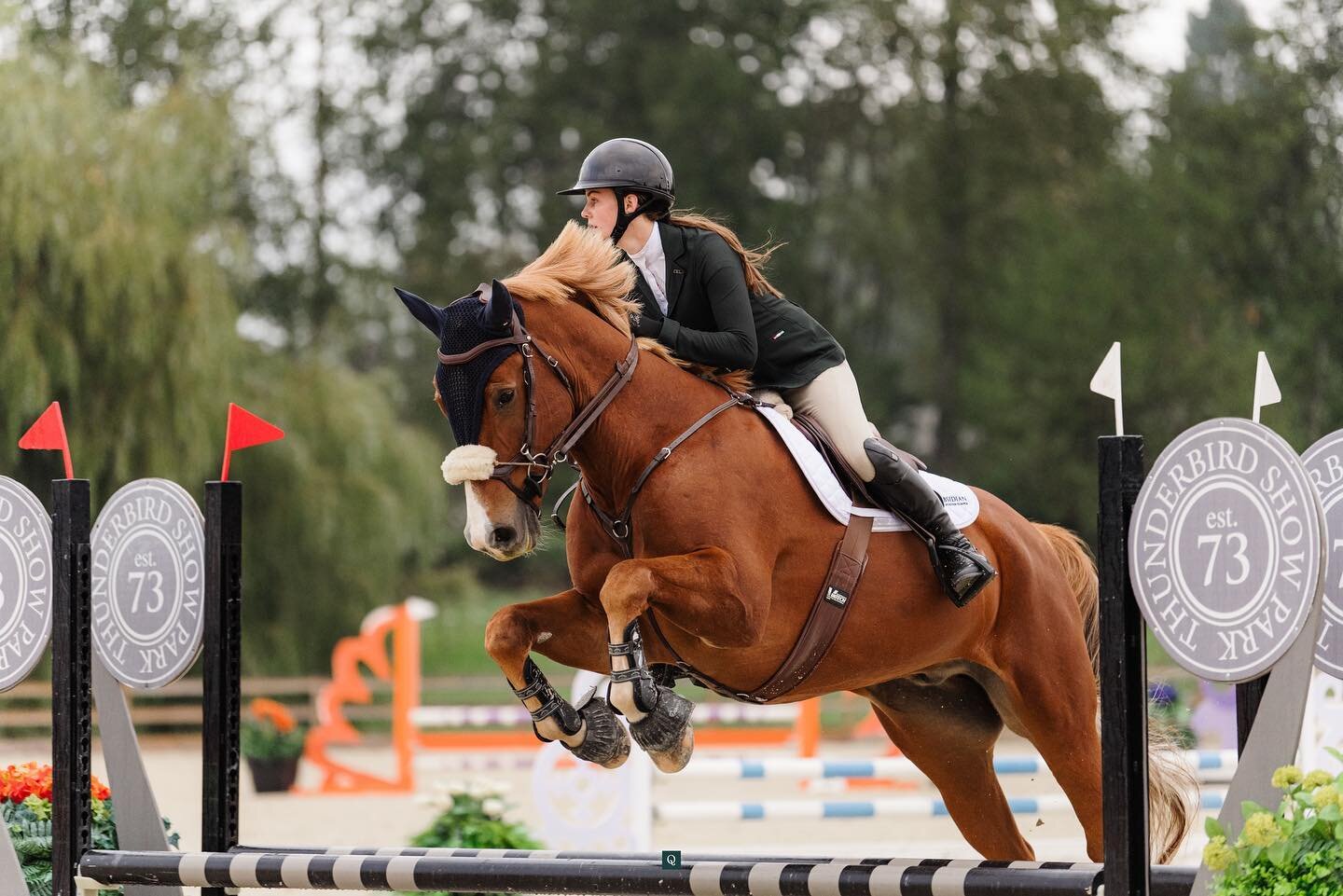 Kia Neilsen and DKH Shenanigans had a super successful @bchja Fall Finale, riding to top placings in the 0.80m division! Congratulations Kia &amp; Finn 🍀 

Photos by @quinnsaundersphoto