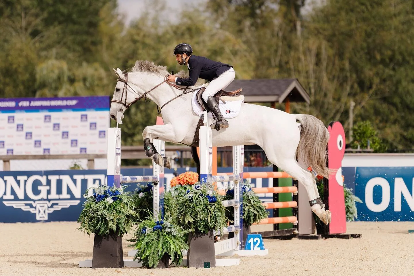 Congratulations @samgolestanian &amp; Goldmine on their 2nd place finish in the $2,500 Acumulator Challenge sponsored by @southlands_riding_club! 

Sam and Goldie additionally received top placings in the 1.20m divisions 🥳

Photos by @quinnsaundersp