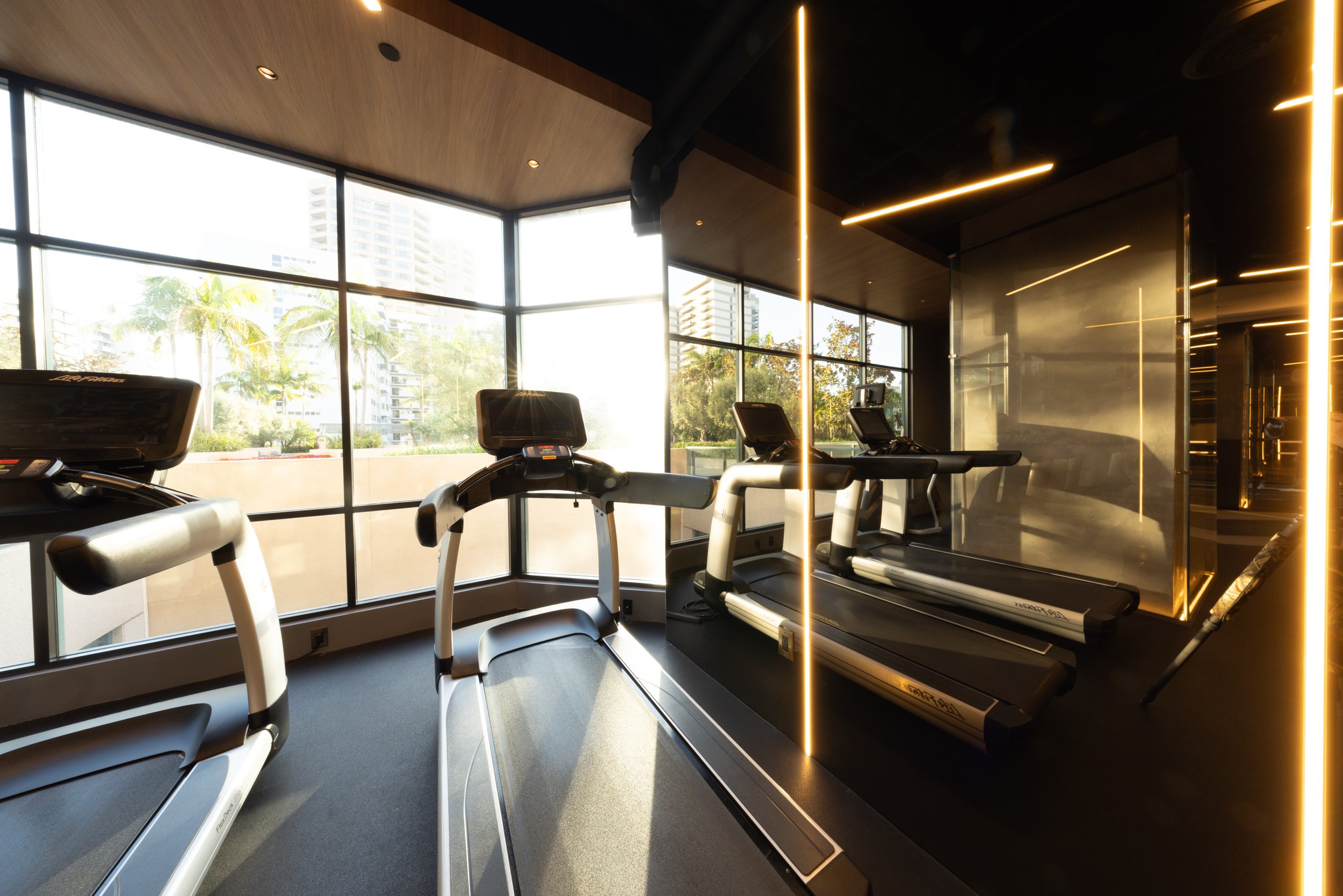Sharonas_Gym_248.jpg