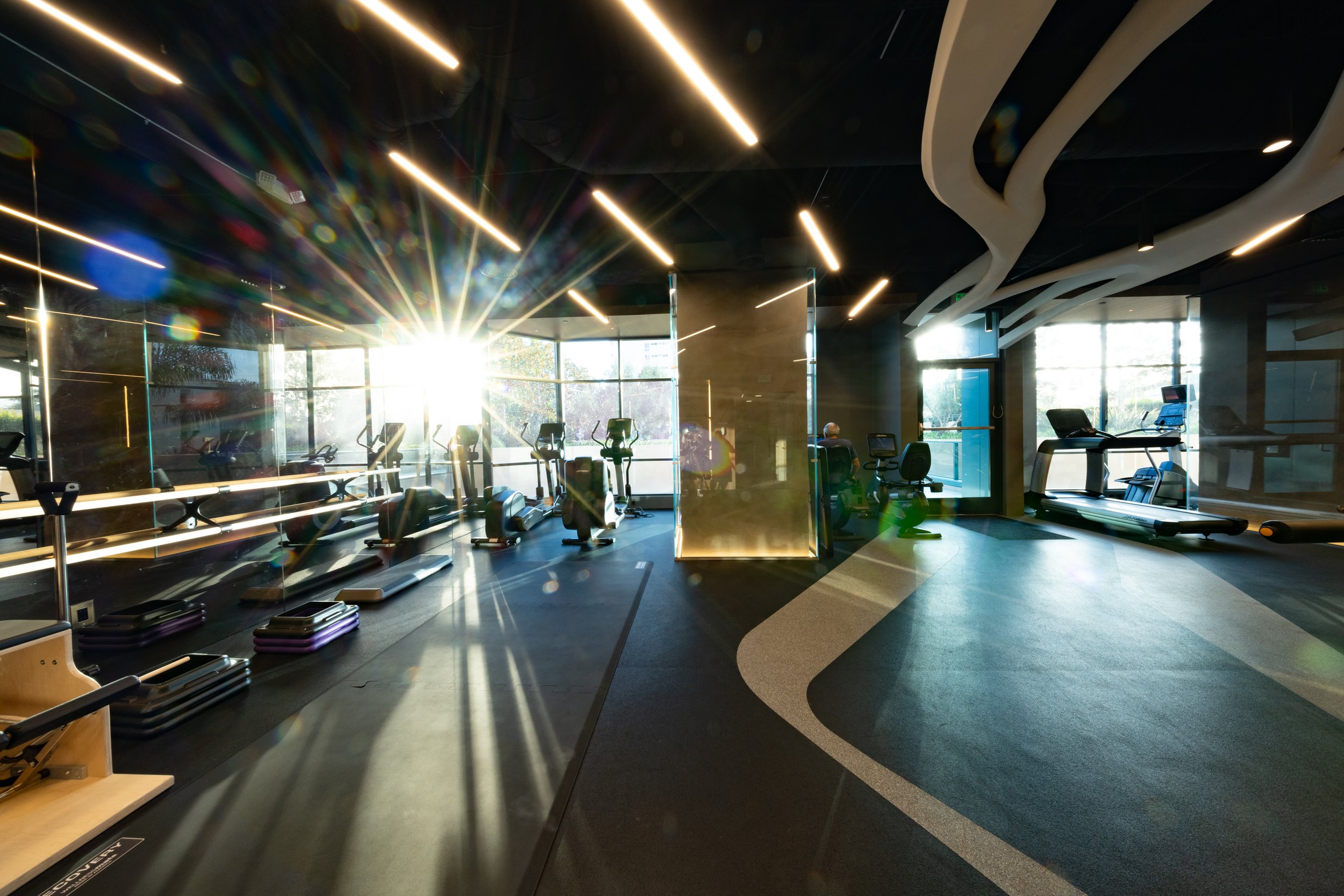 Sharonas_Gym_249.jpg