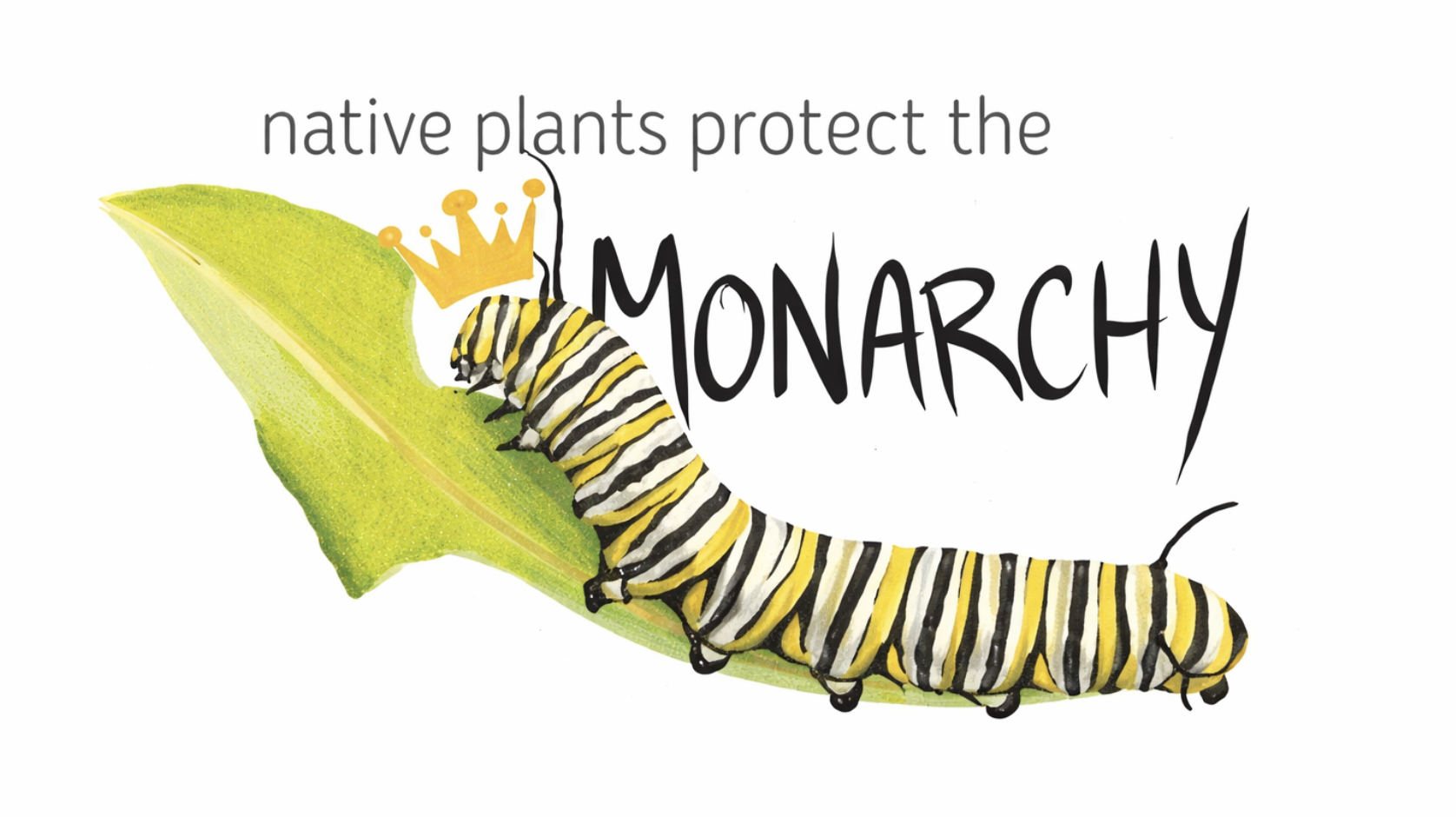"Native Plants Protect the Monarchy" Square-Shaped Sticker