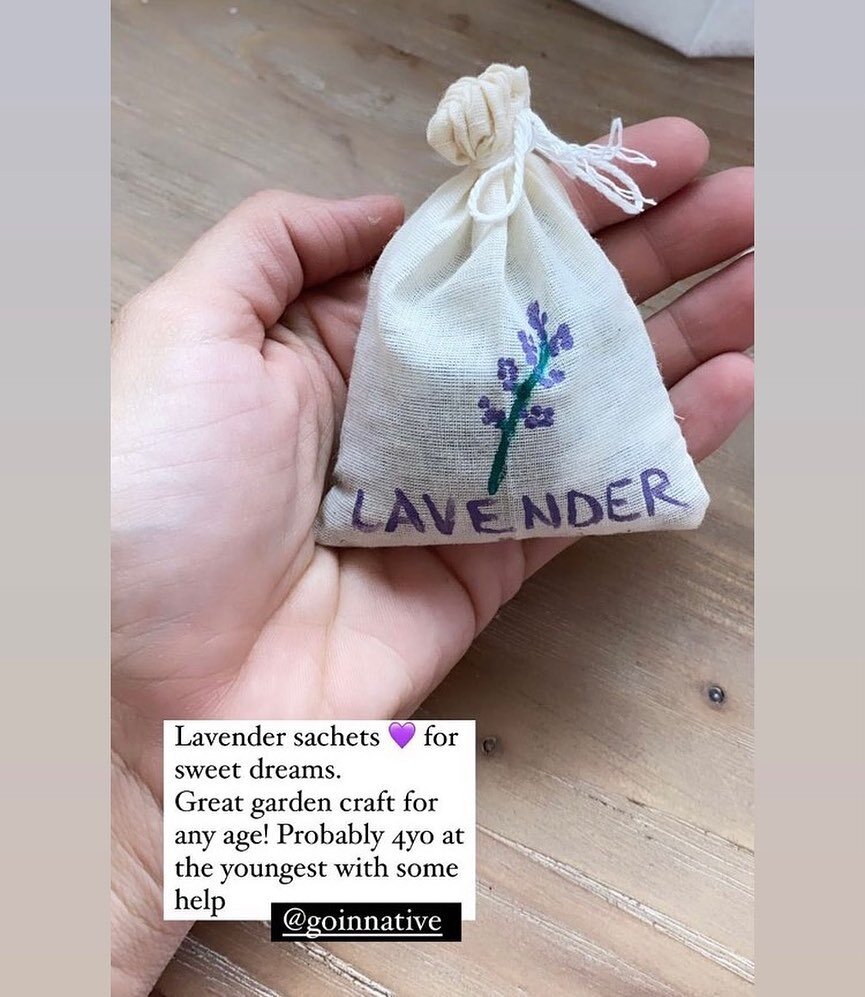 Another wonderful session this past Friday for the patients at CHOC! 🧸
The kids loved this one because they were able to express themselves on their own personal sac of lavender, which they also assembled themselves!

Special thanks to @bailey_vanta