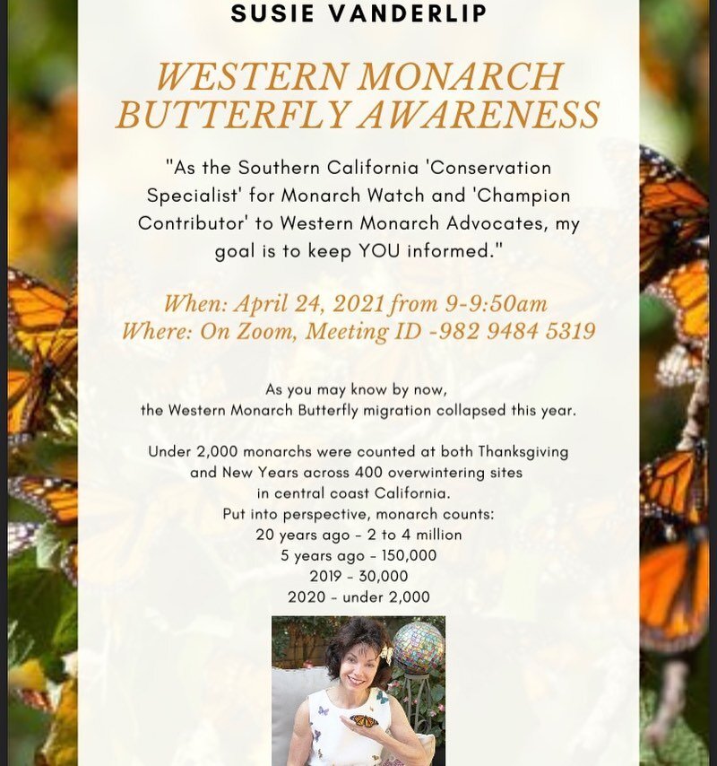 Goin Native presents guest speaker, Susie Vanderlip. If you&rsquo;re interested in the status of monarch butterflies or how to help reverse their decline, join us over Zoom on April 24 9:00am 

#milesformonarchs 
#monarchbutterfly 
#savemonarchbutter