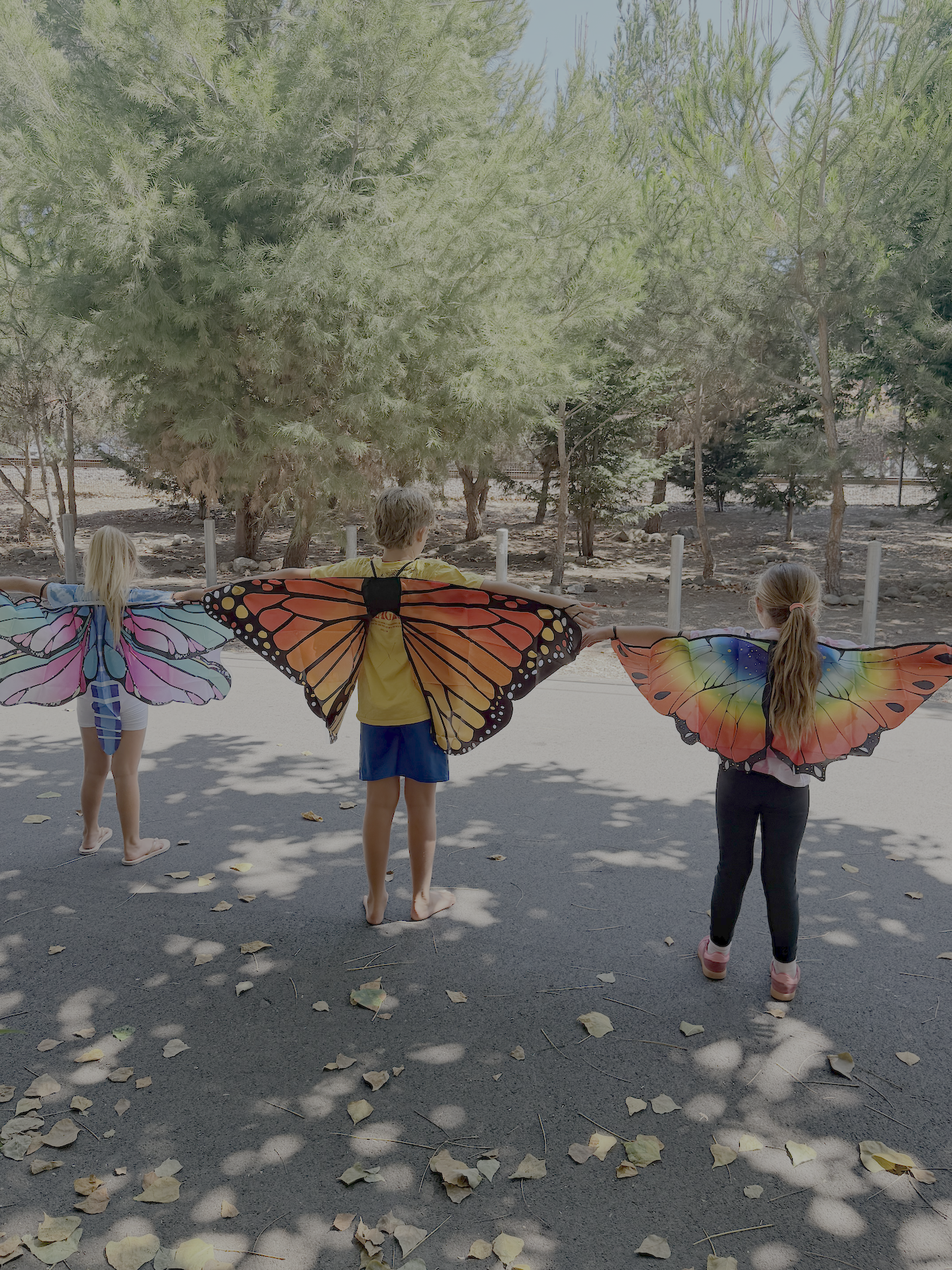 kids butterfly wings.png