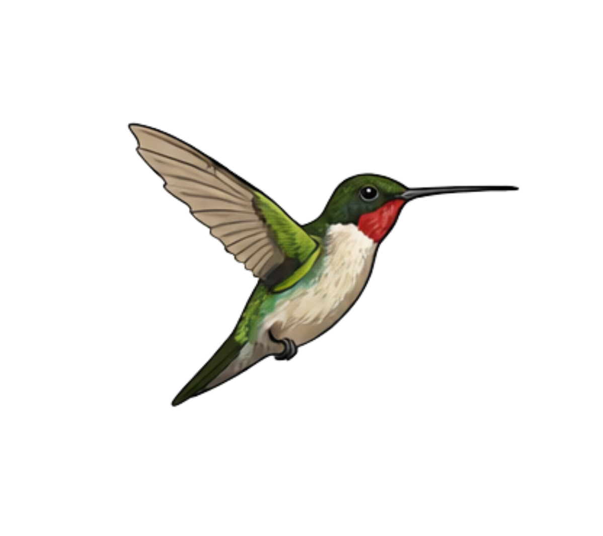 Hummingbird