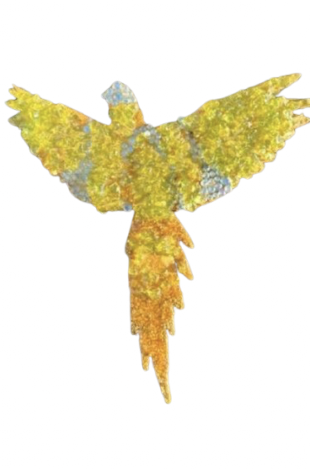 Screenshot 2026-03-04 at 9.25.01 AM.png