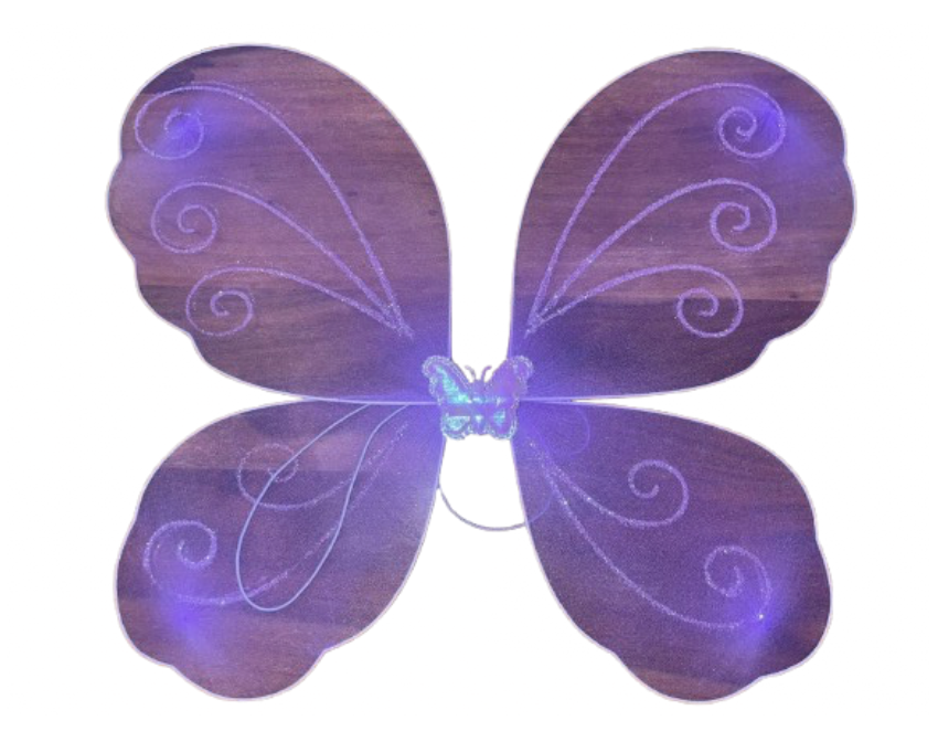 Butterfly Wing Set