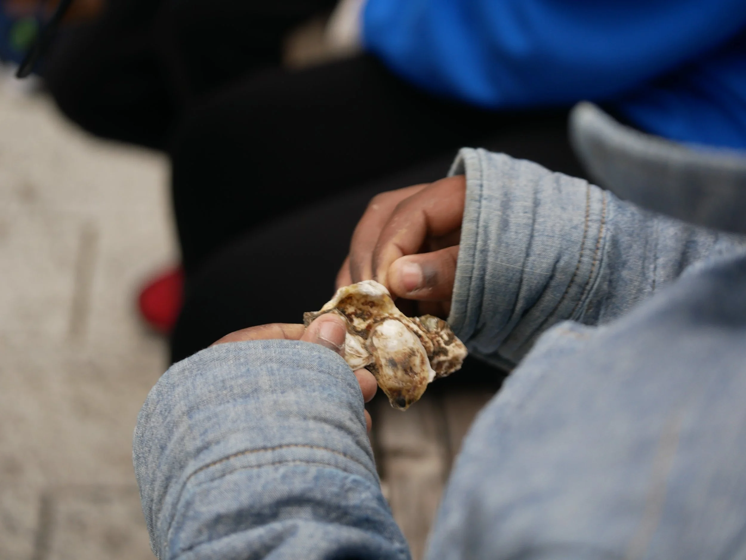 oyster in the hands of a student
