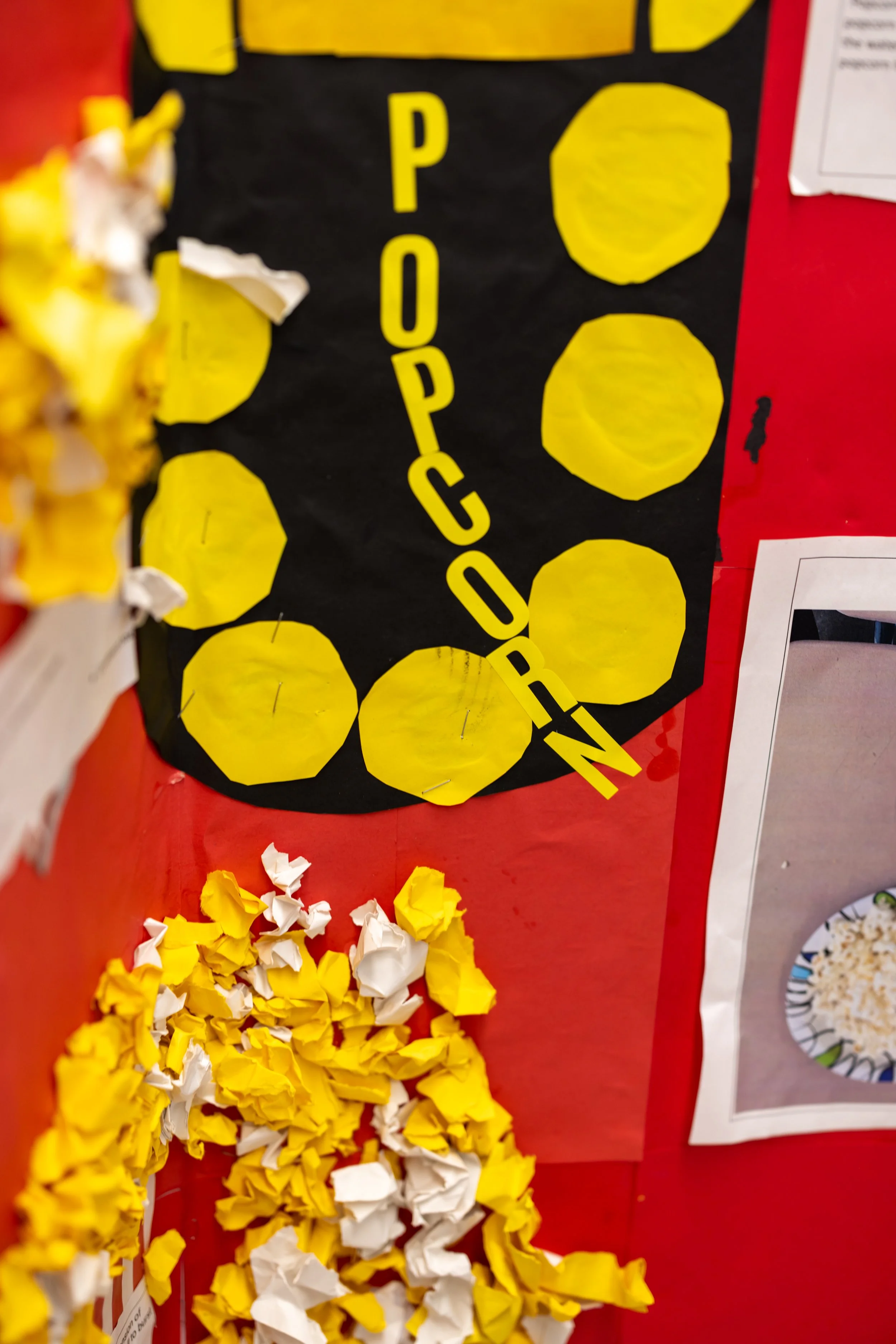 MS 50 students present their science projects