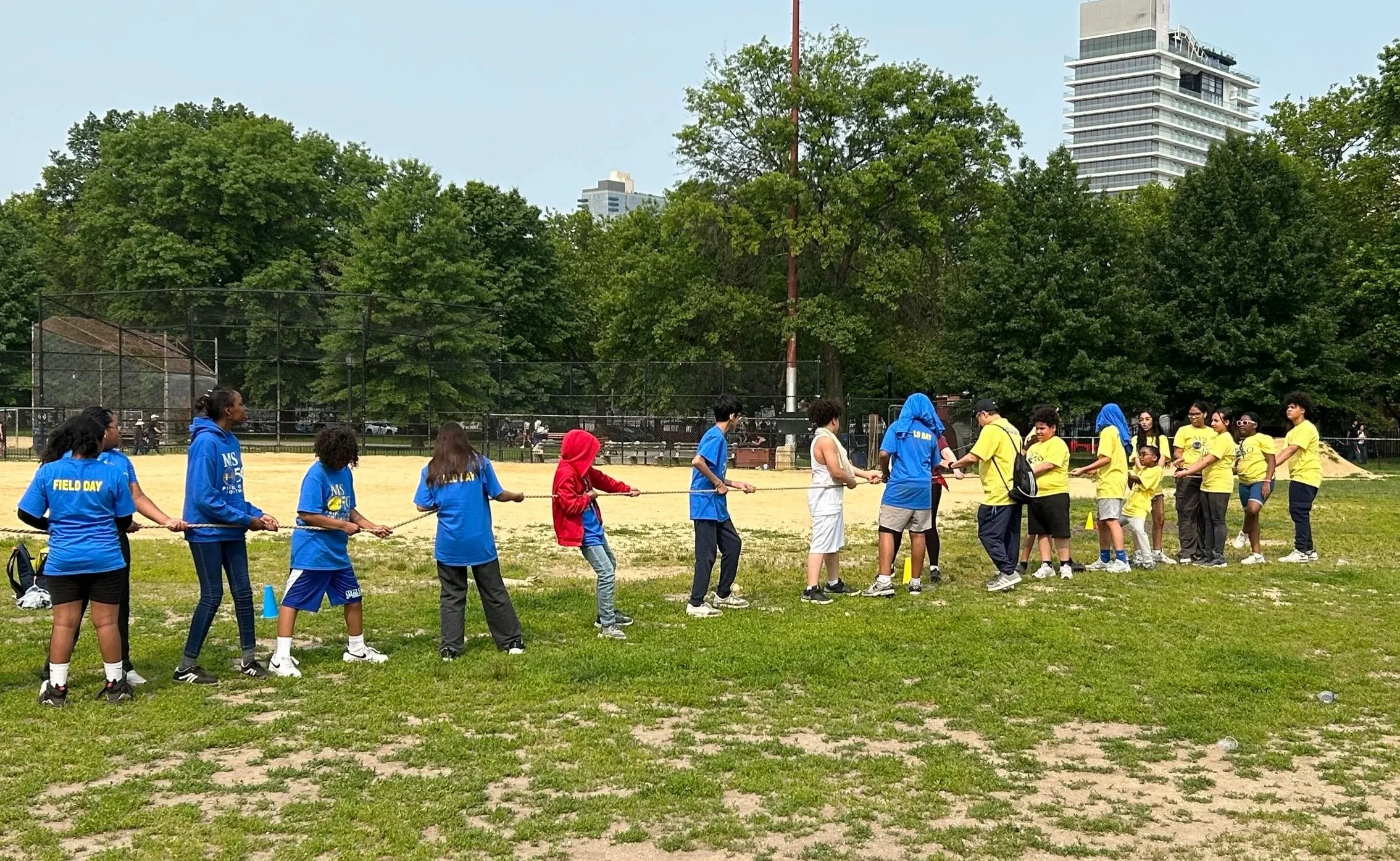 Weekly Newsletter: 6/1/26