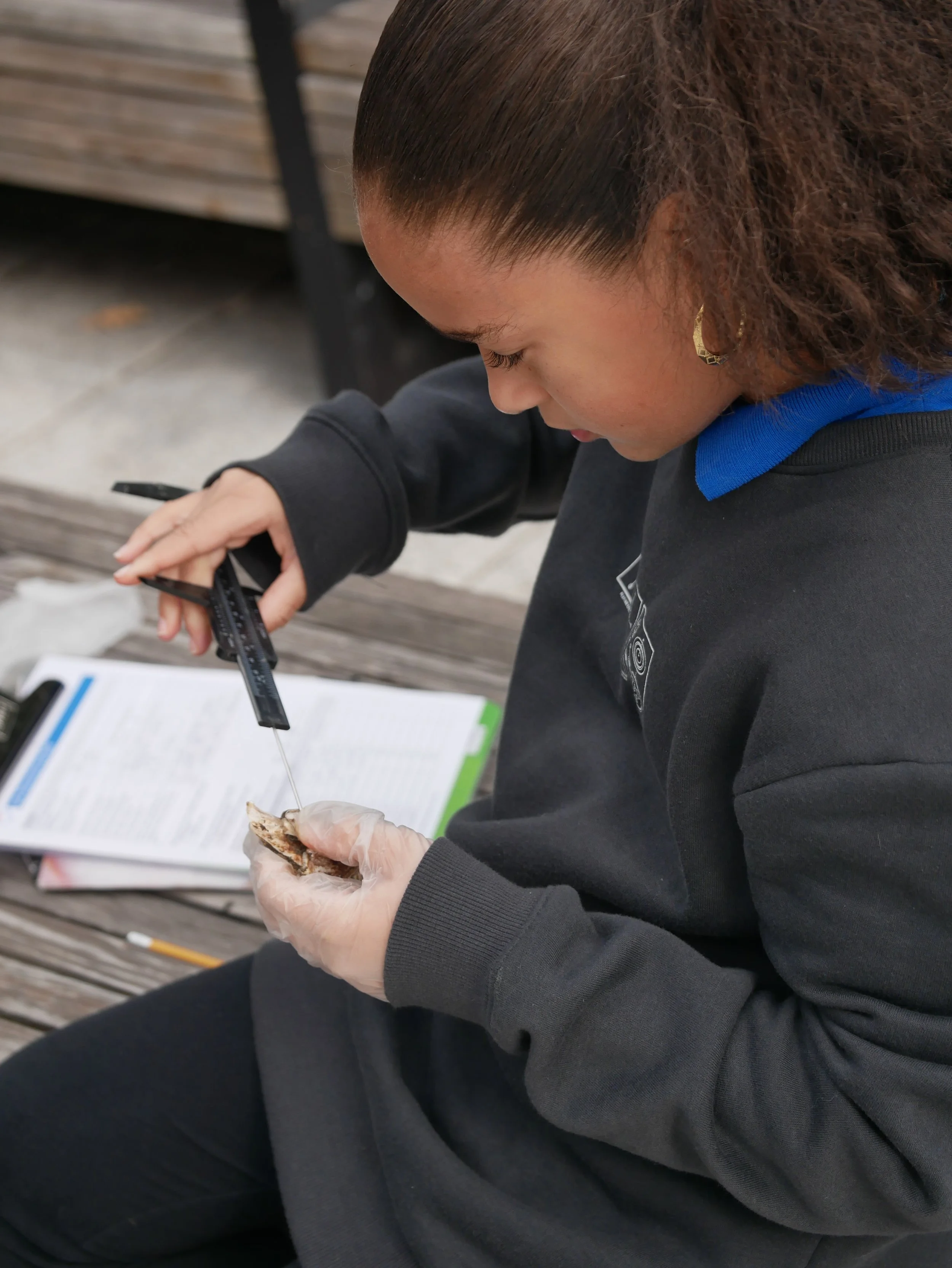 measuring an oyster with a caliper