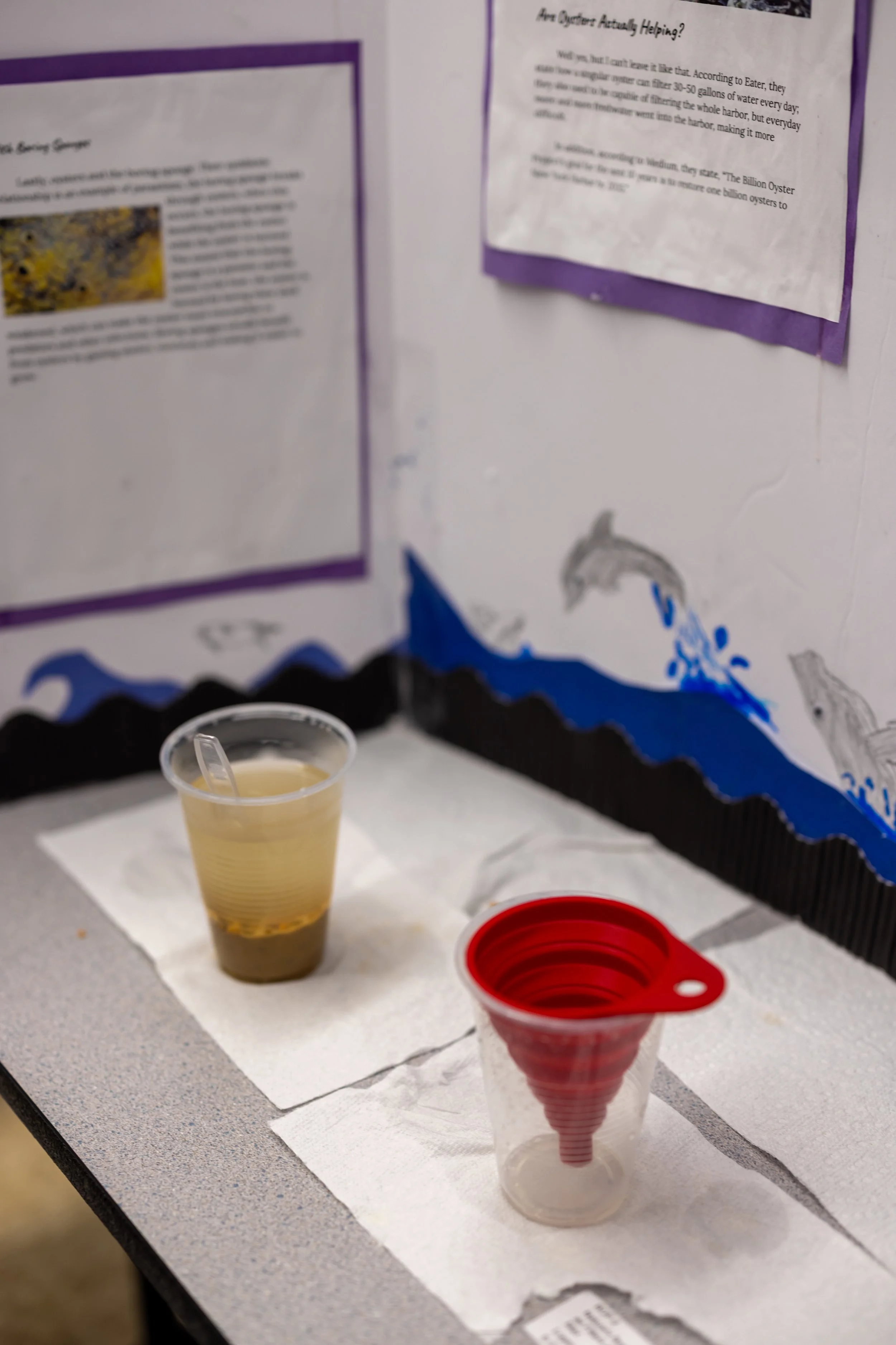 MS 50 students present their science projects