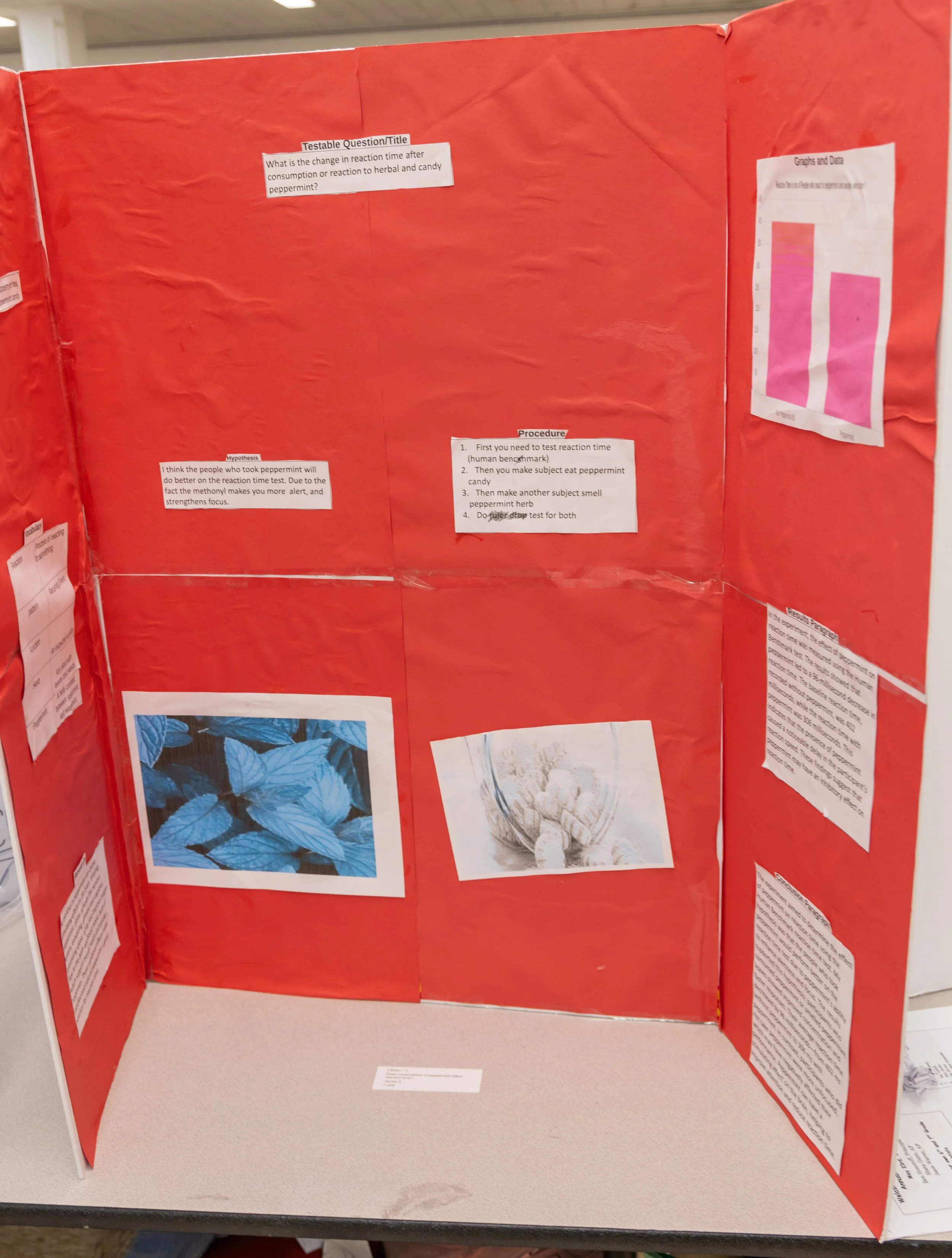 MS 50 students present their science projects