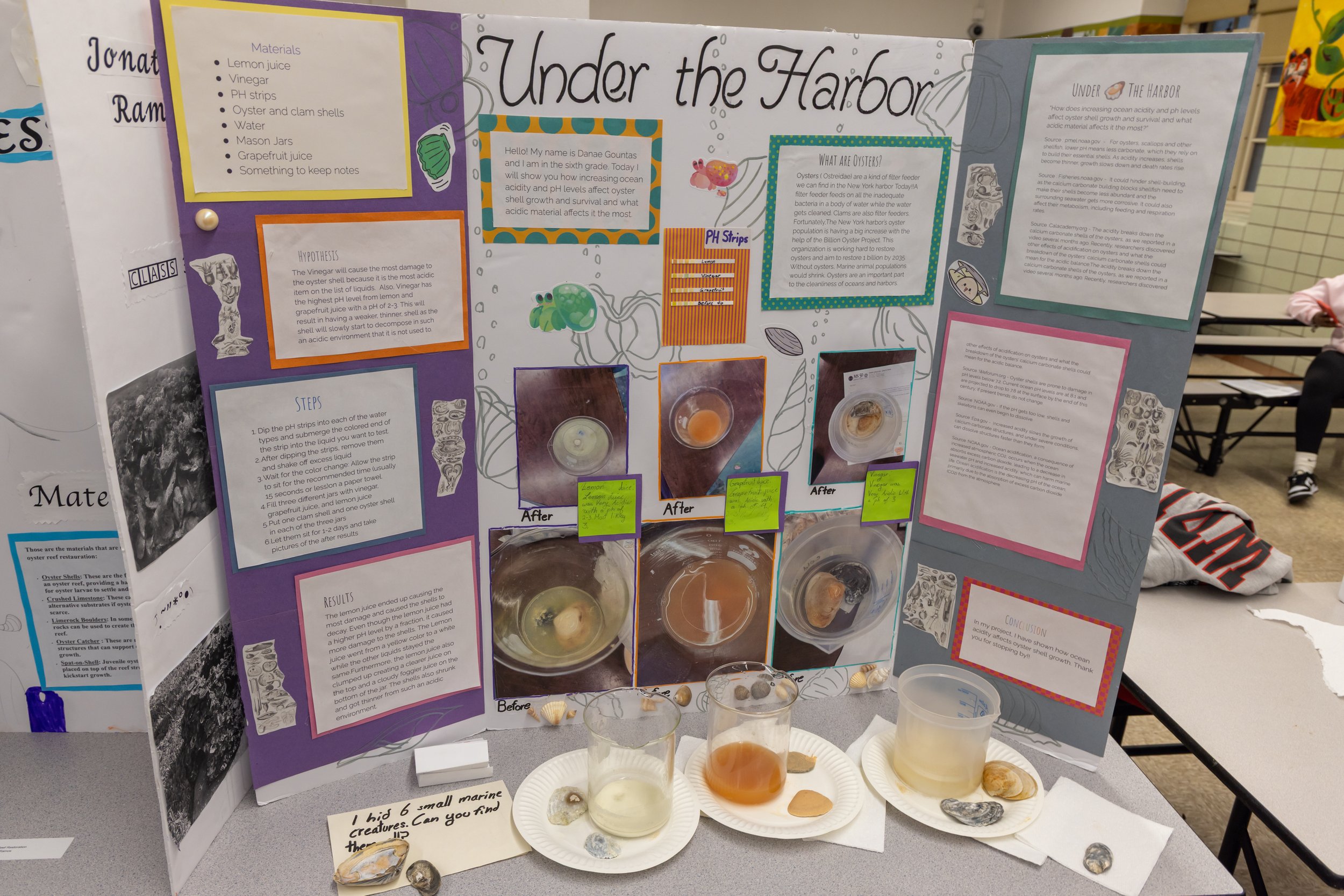 MS 50 students present their science projects