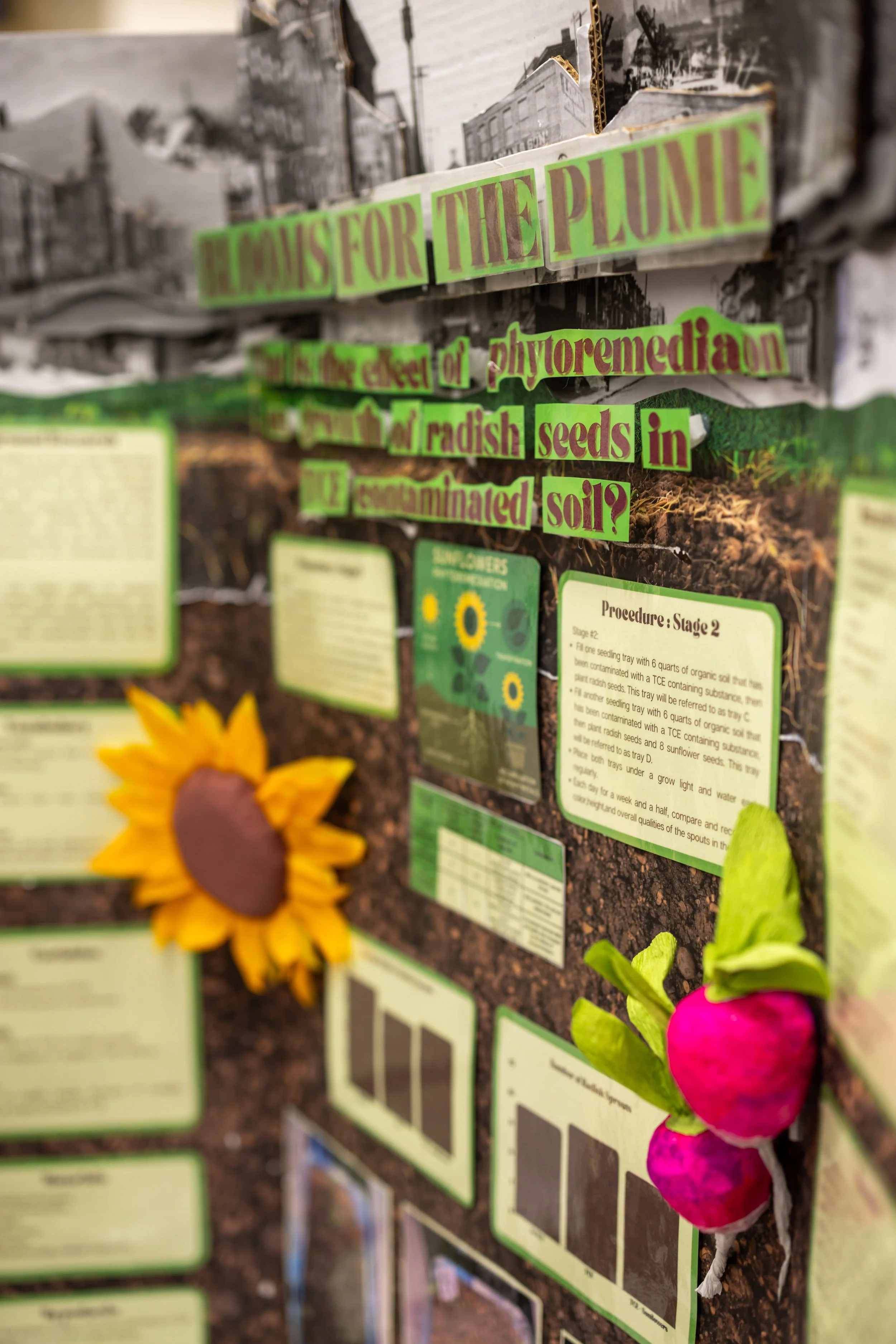 MS 50 students present their science projects
