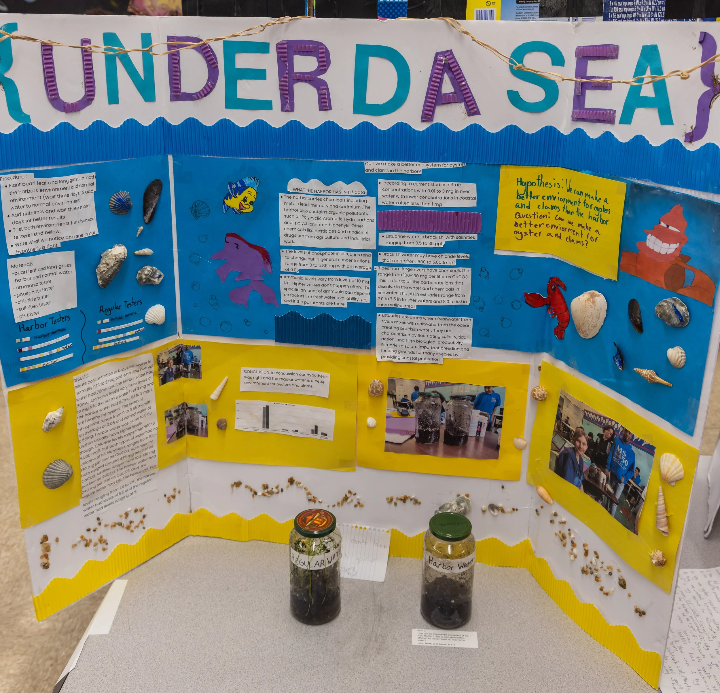 MS 50 students present their science projects