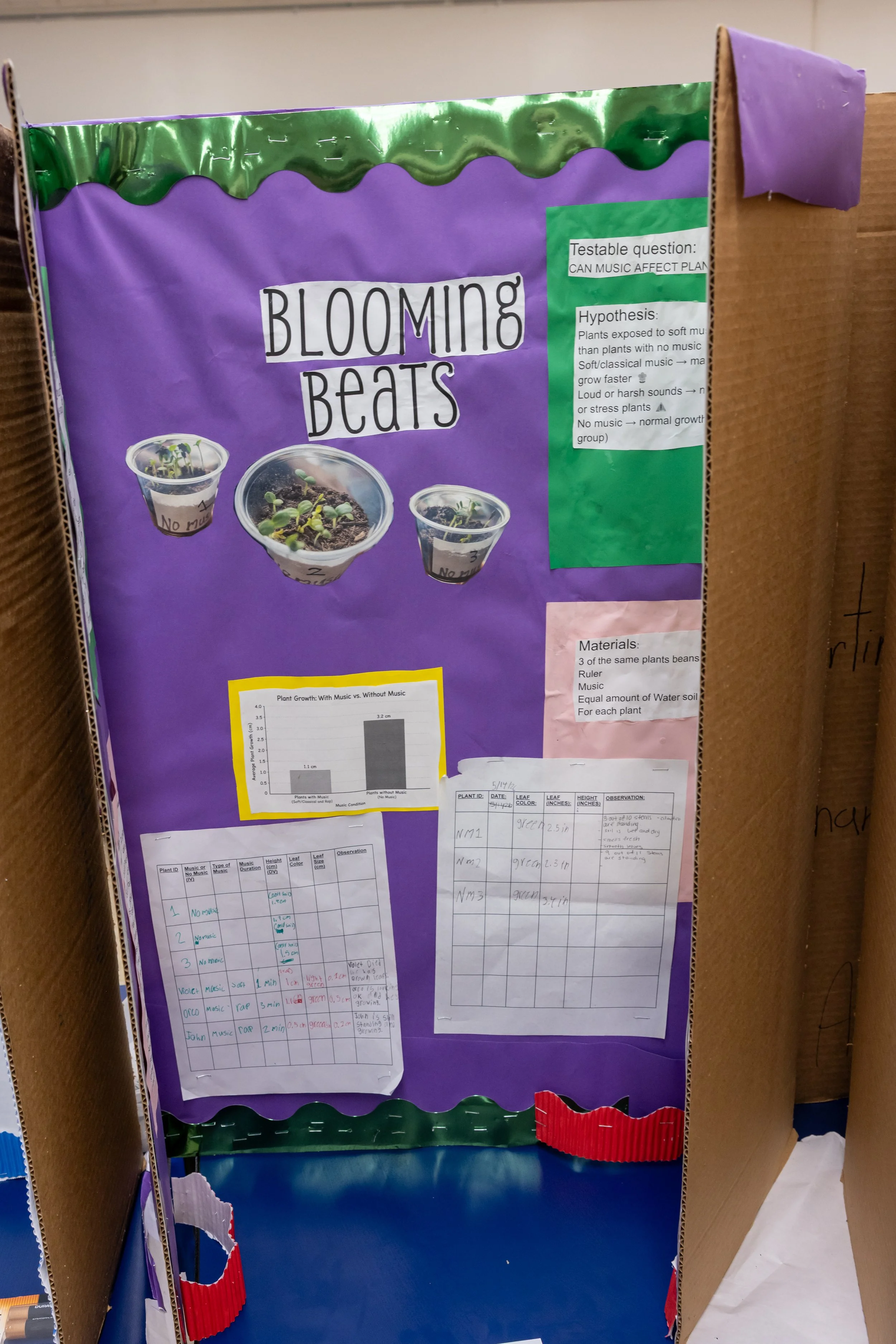 MS 50 students present their science projects