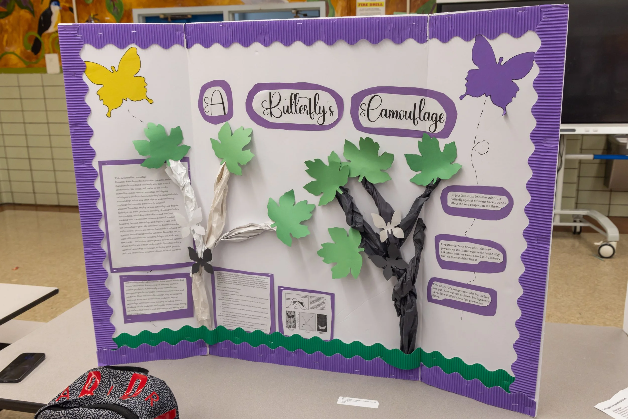 MS 50 students present their science projects
