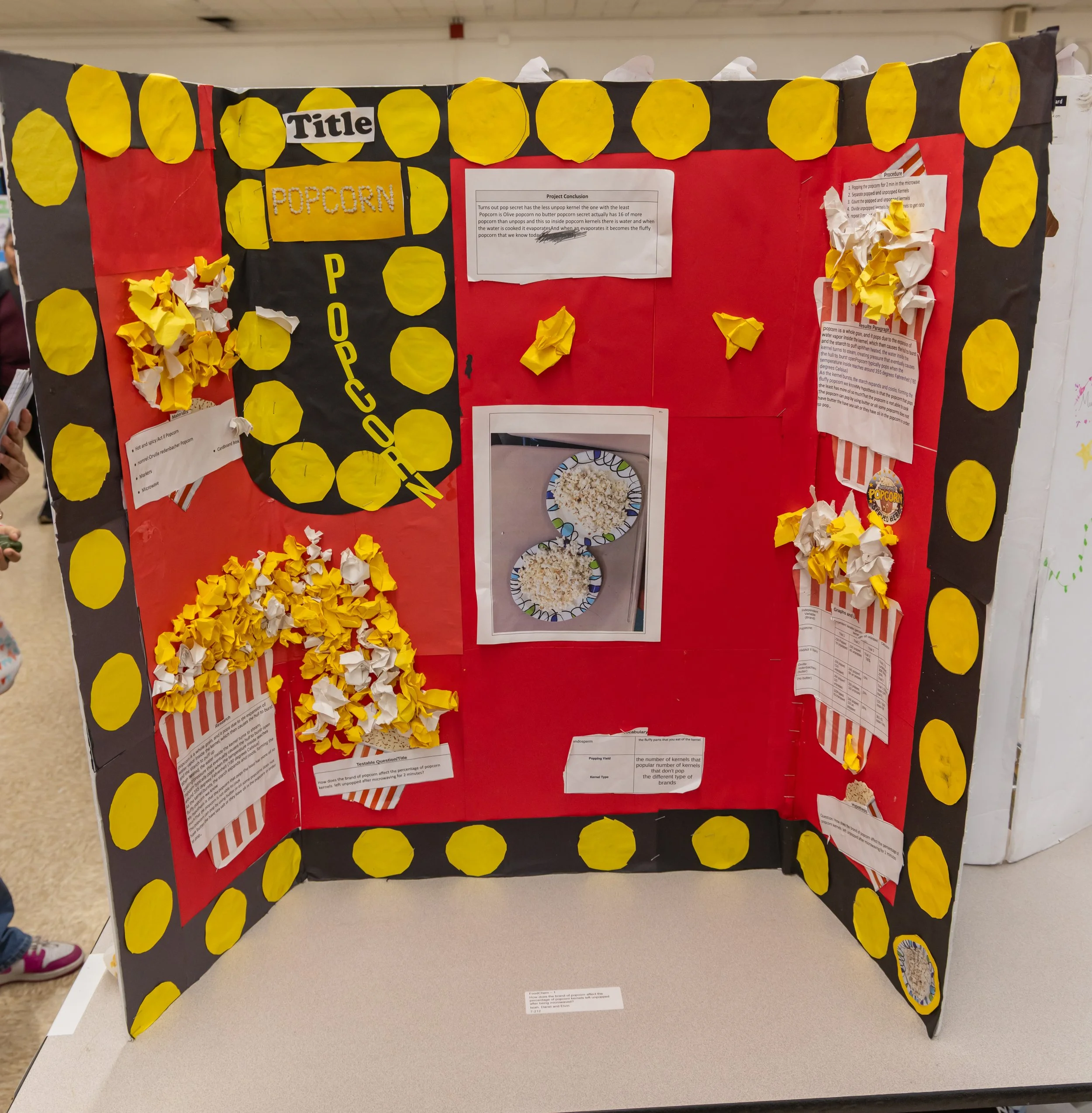 MS 50 students present their science projects