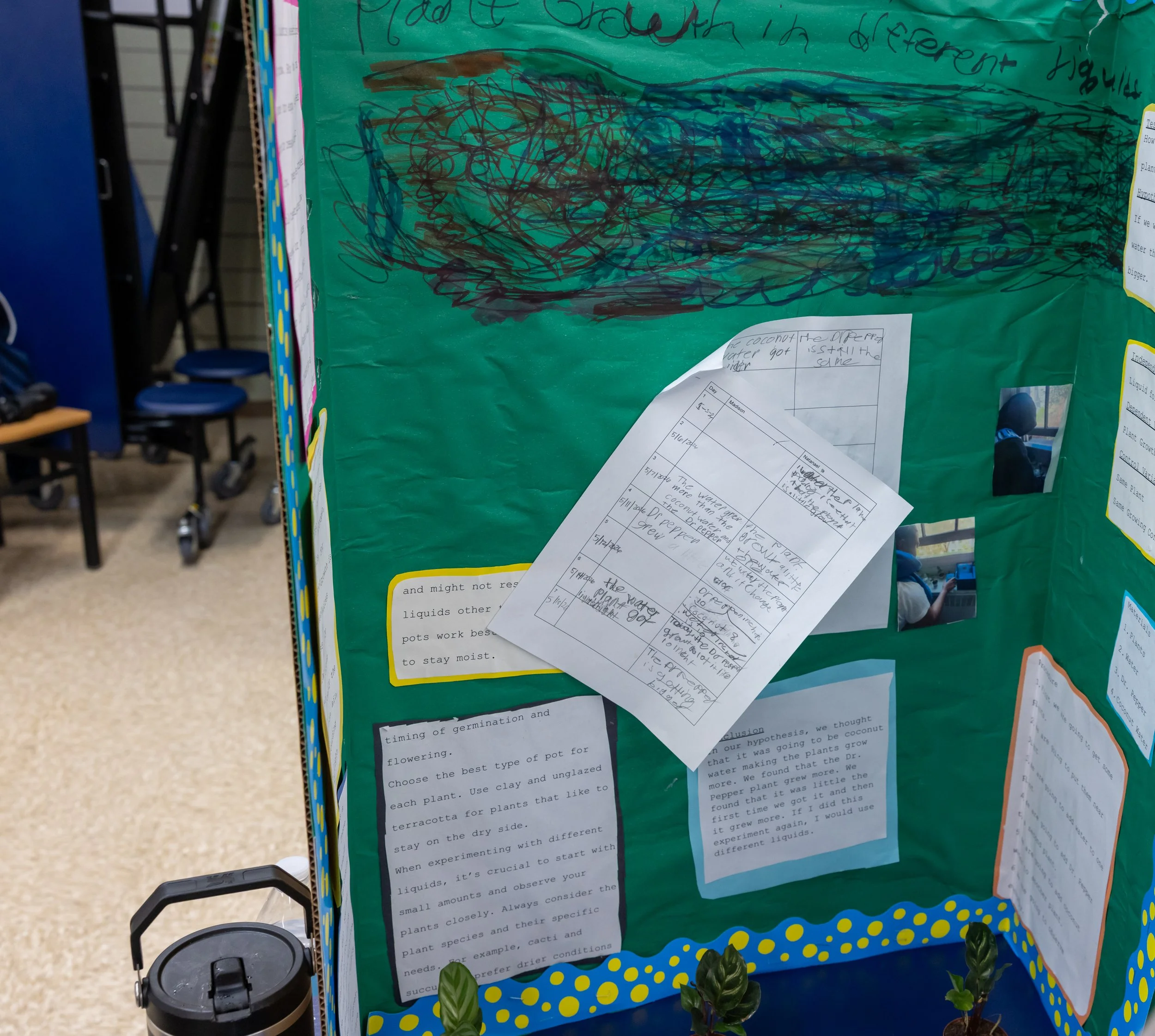 MS 50 students present their science projects