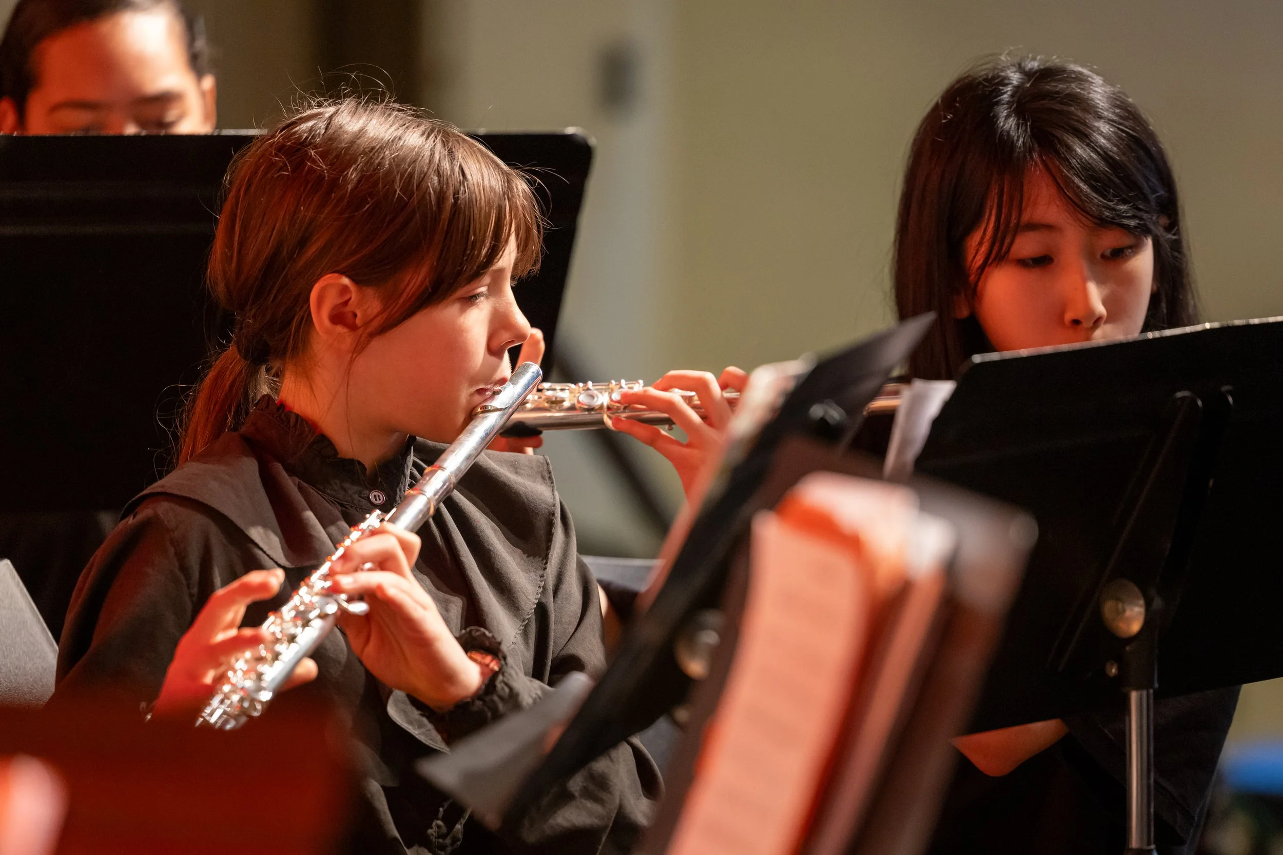 MS 50 Bands perform