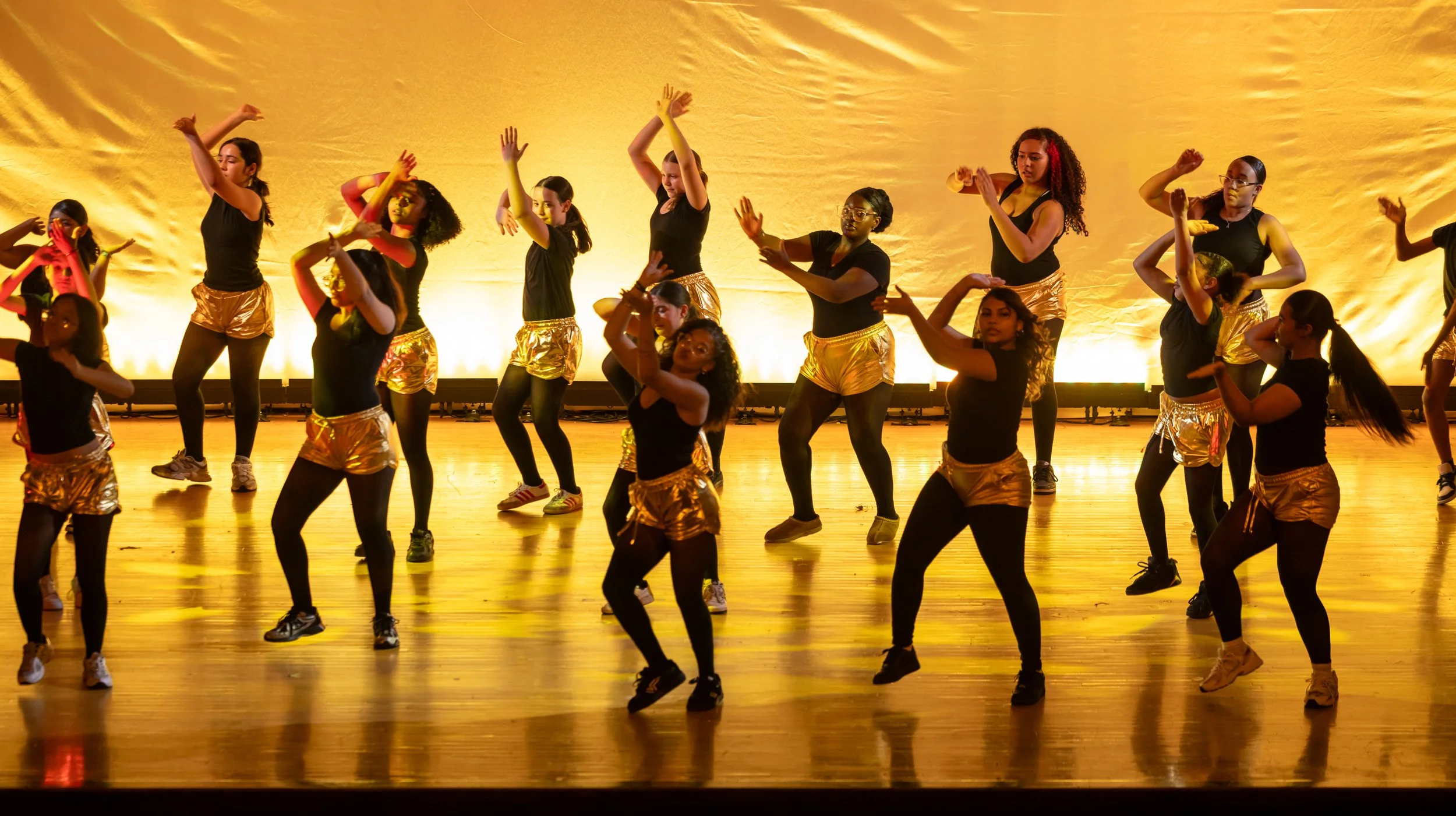 MS 50 spring dance recital 2026