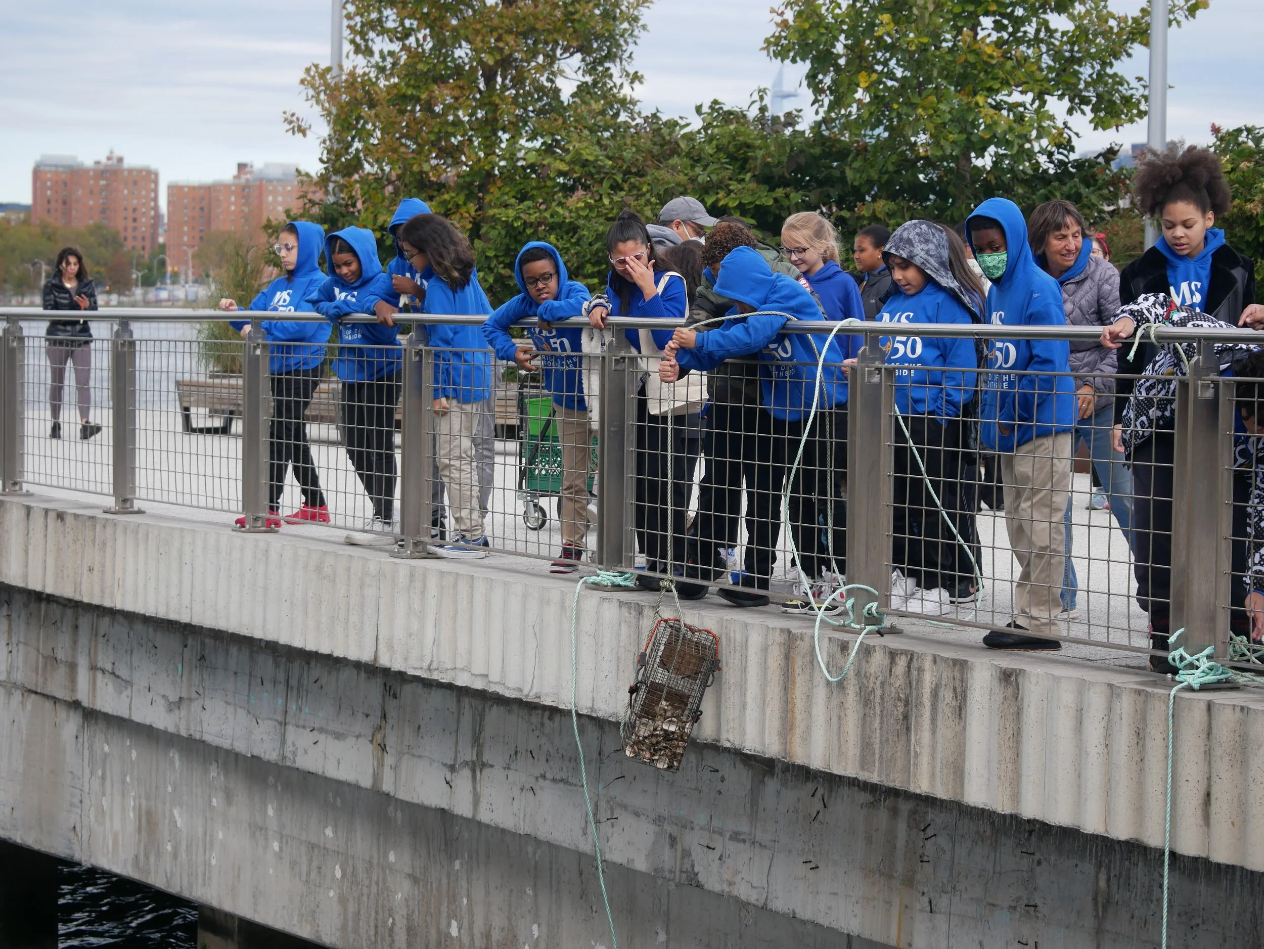 students lower the cage back in the water