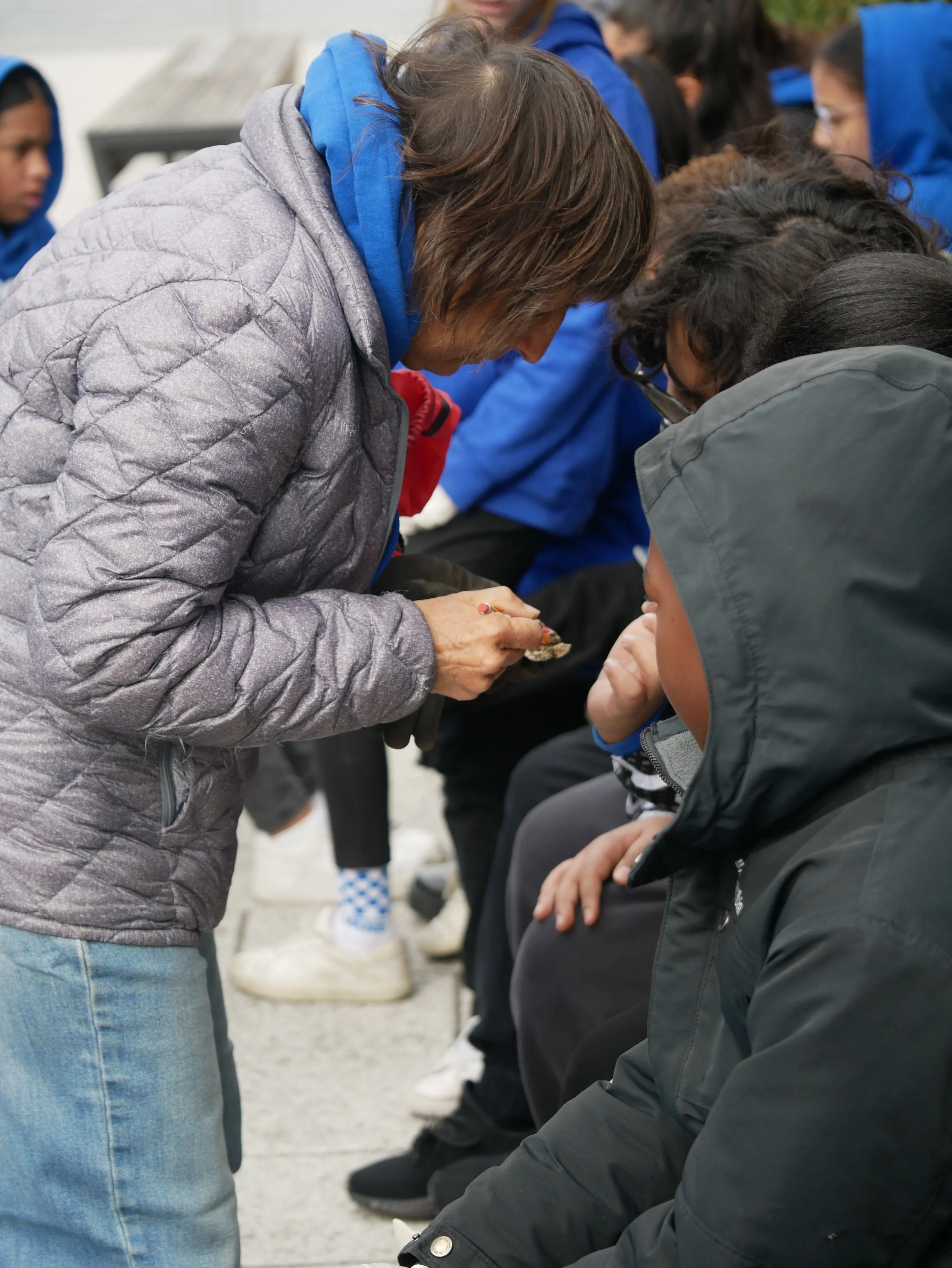 staff identifies an organism for student
