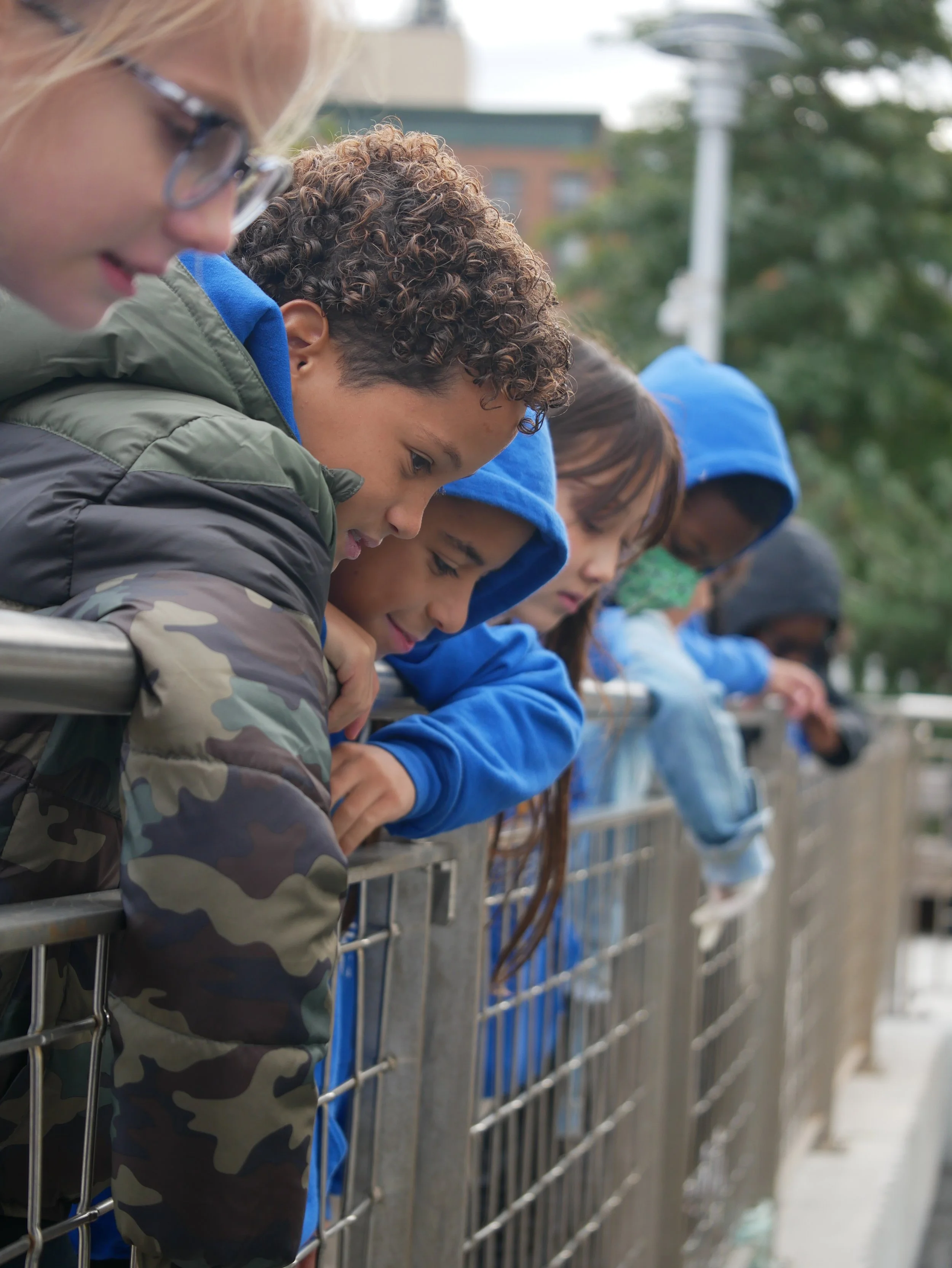 students looking over the fence