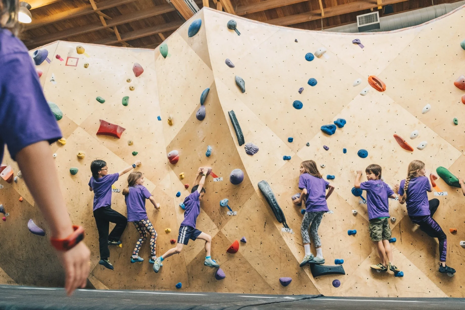 Children in purple shirts climbing an indoor bouldering wall with colorful holds.