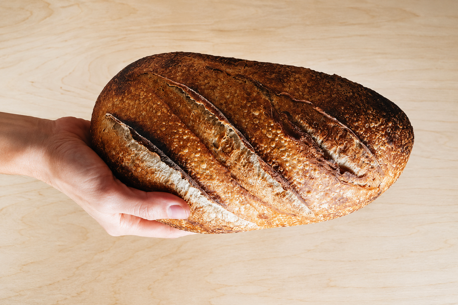 3 New Culinary Offerings to Try in Boston